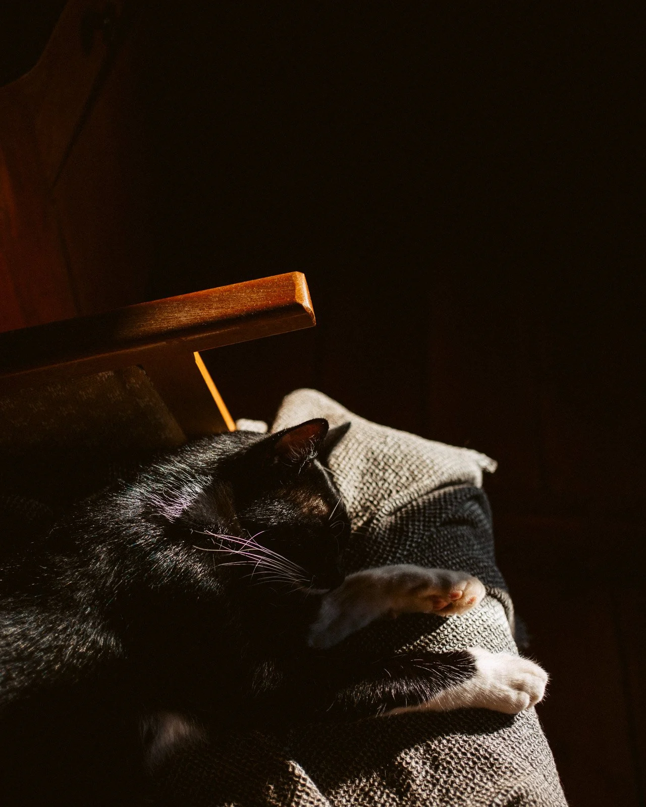 Kai Branss Portfolio-14.jpg