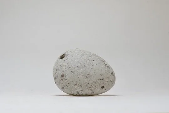 Earth Study