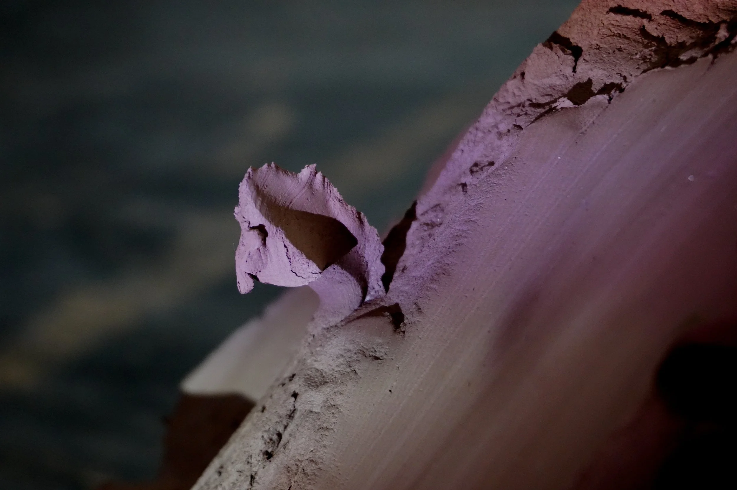 57AAE88D-1808-48A0-B049-E8A10E514333_1_201_a.jpeg