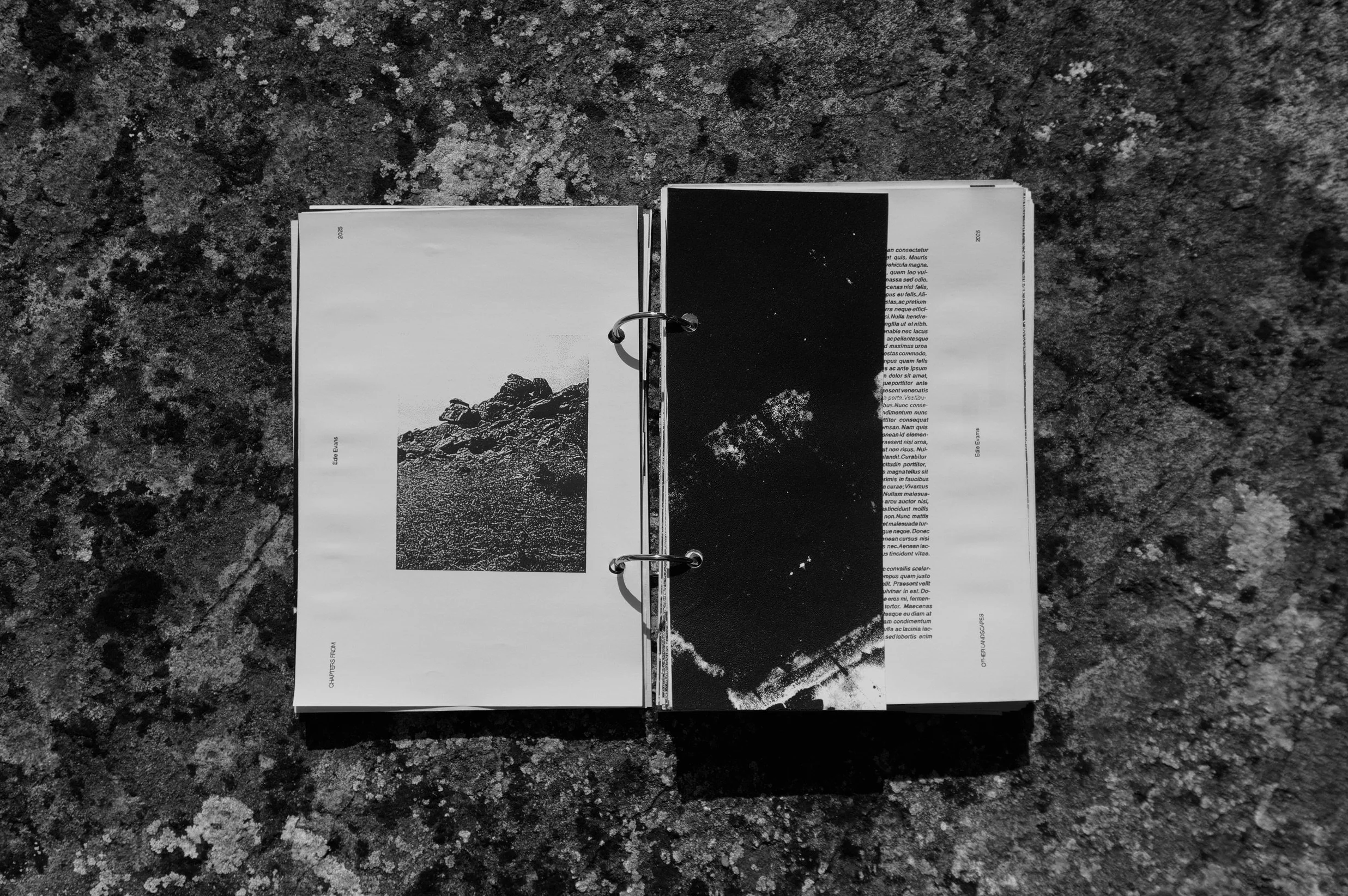 6AFE2770-8550-46B3-968E-CA2282DC986C_1_201_a.jpeg