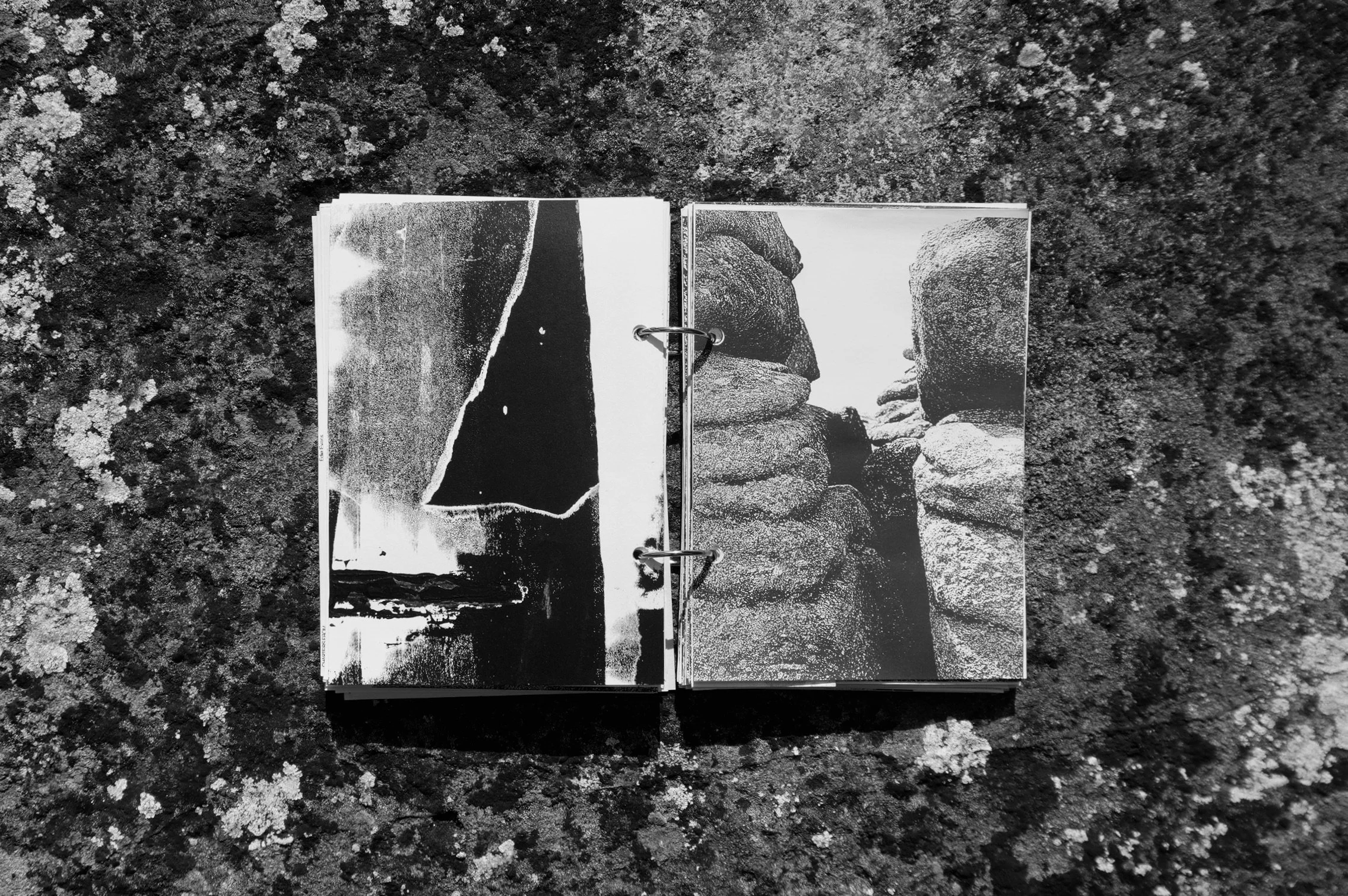 4BFA87B4-06E2-4CBF-BA6A-905ED0603F5A_1_201_a.jpeg
