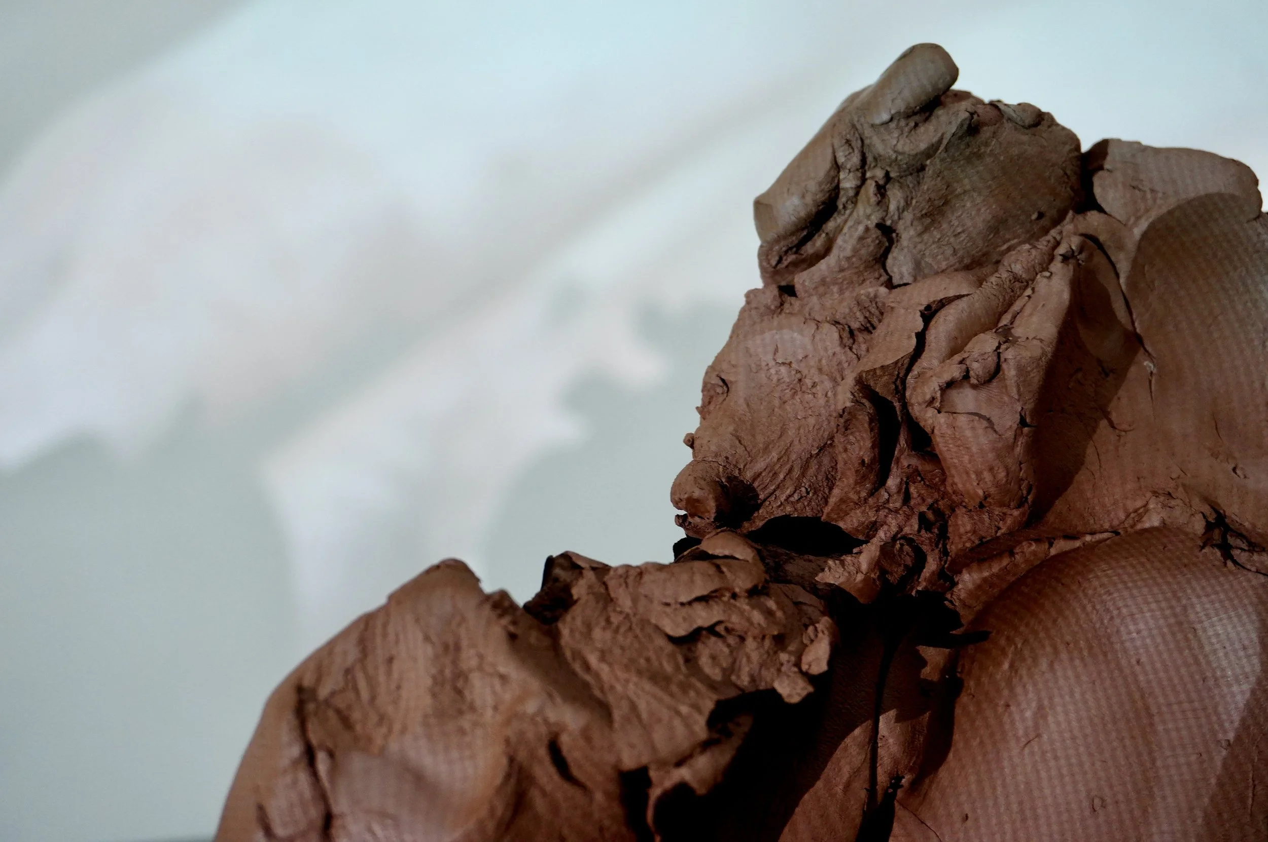 4EA81694-0D82-4F66-A368-1D85C64973D9_1_201_a.jpeg