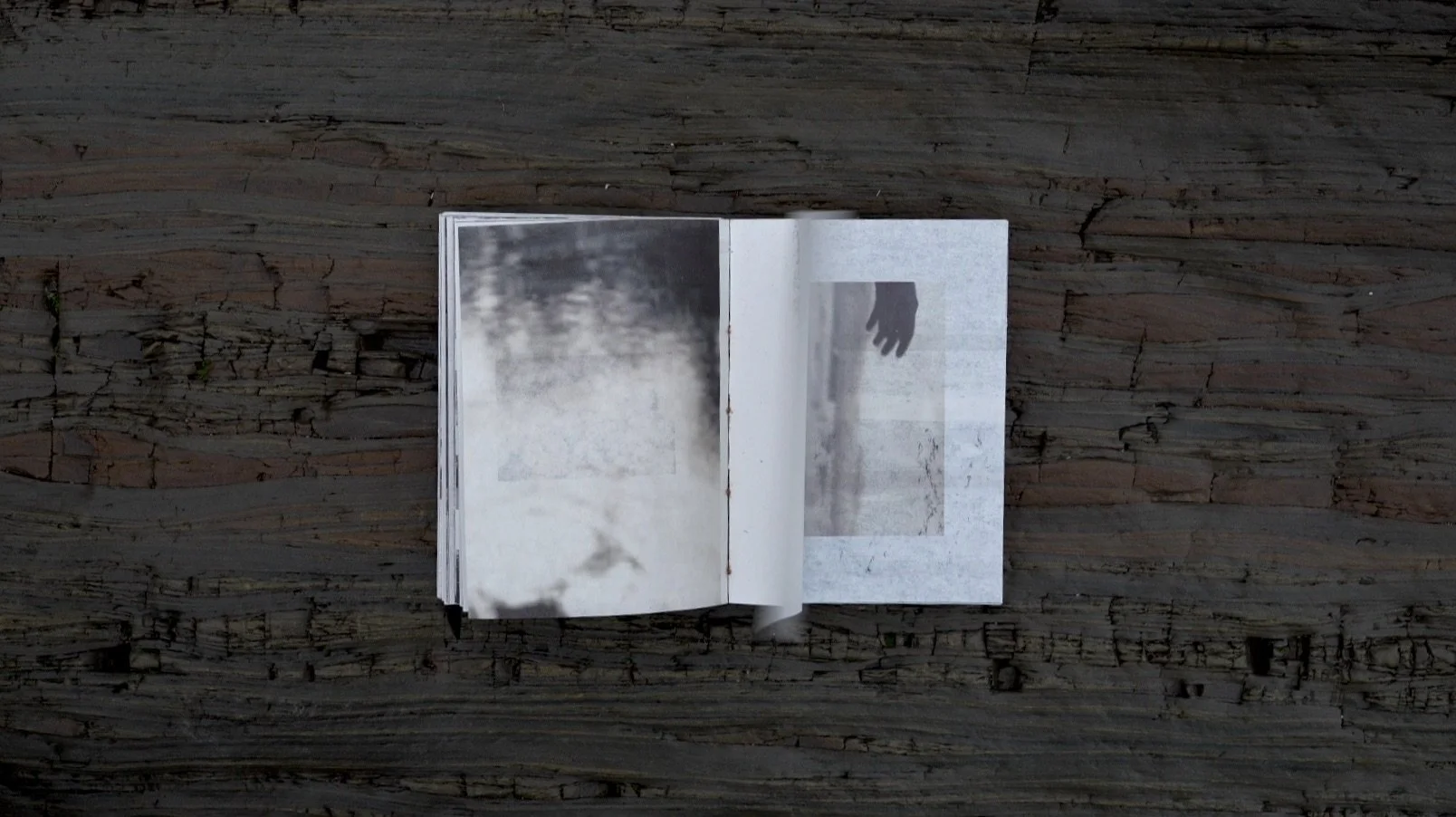 Screenshot 2026-03-27 at 07.08.00.jpeg