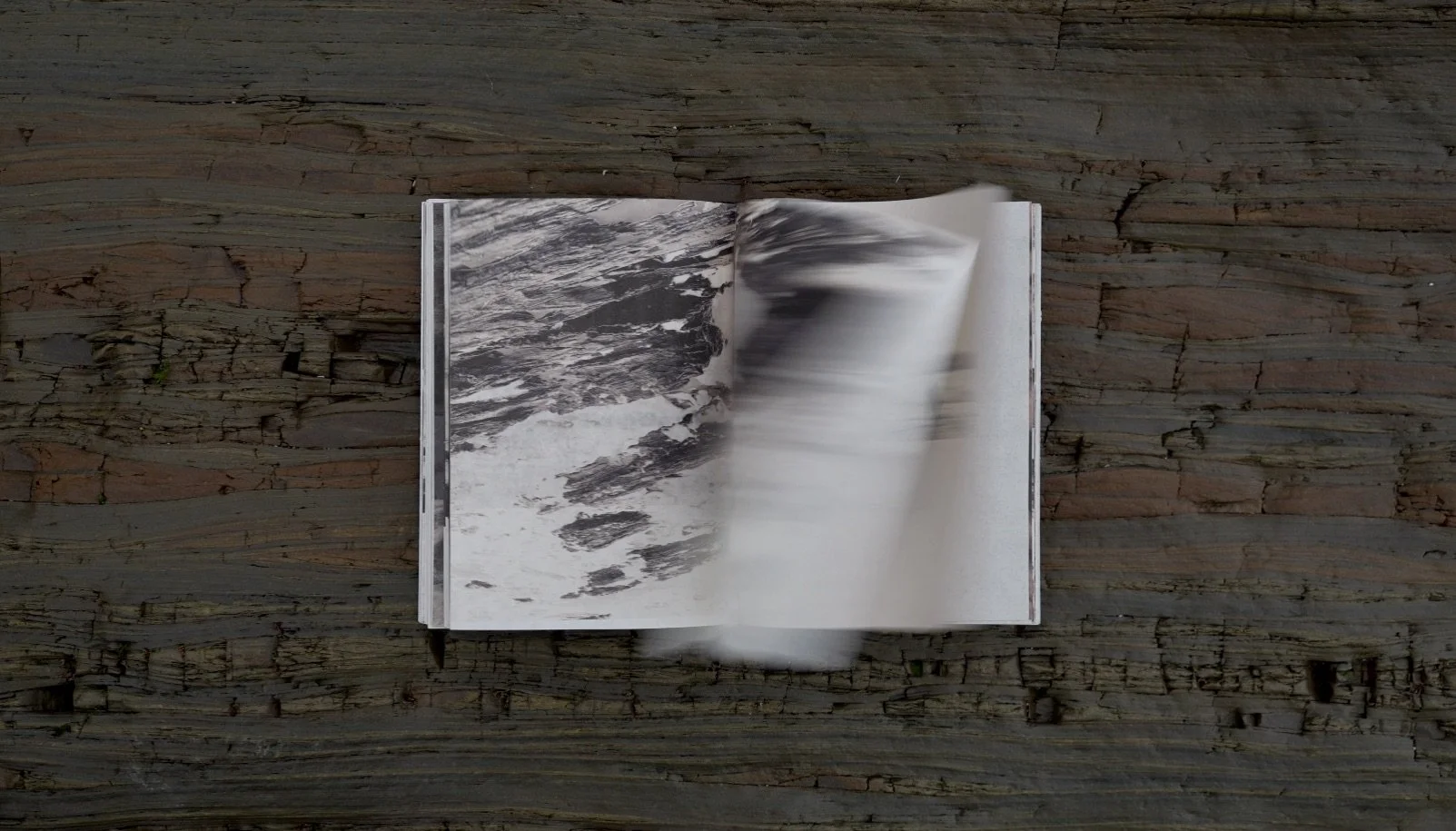 Screenshot 2026-03-27 at 07.10.24.jpeg