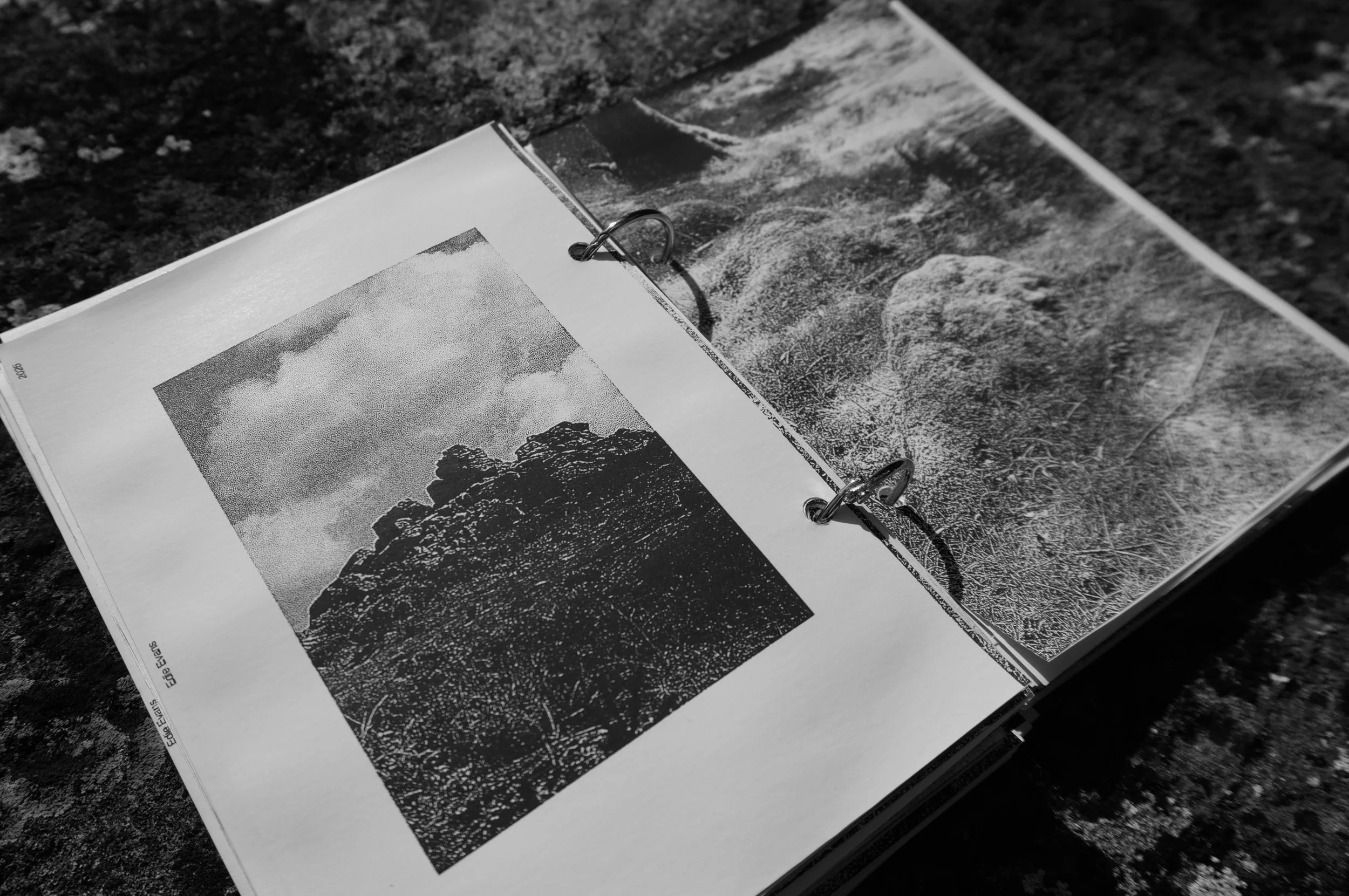 0D398208-5A79-45E5-8C7C-77E72A19D773_1_201_a.jpeg