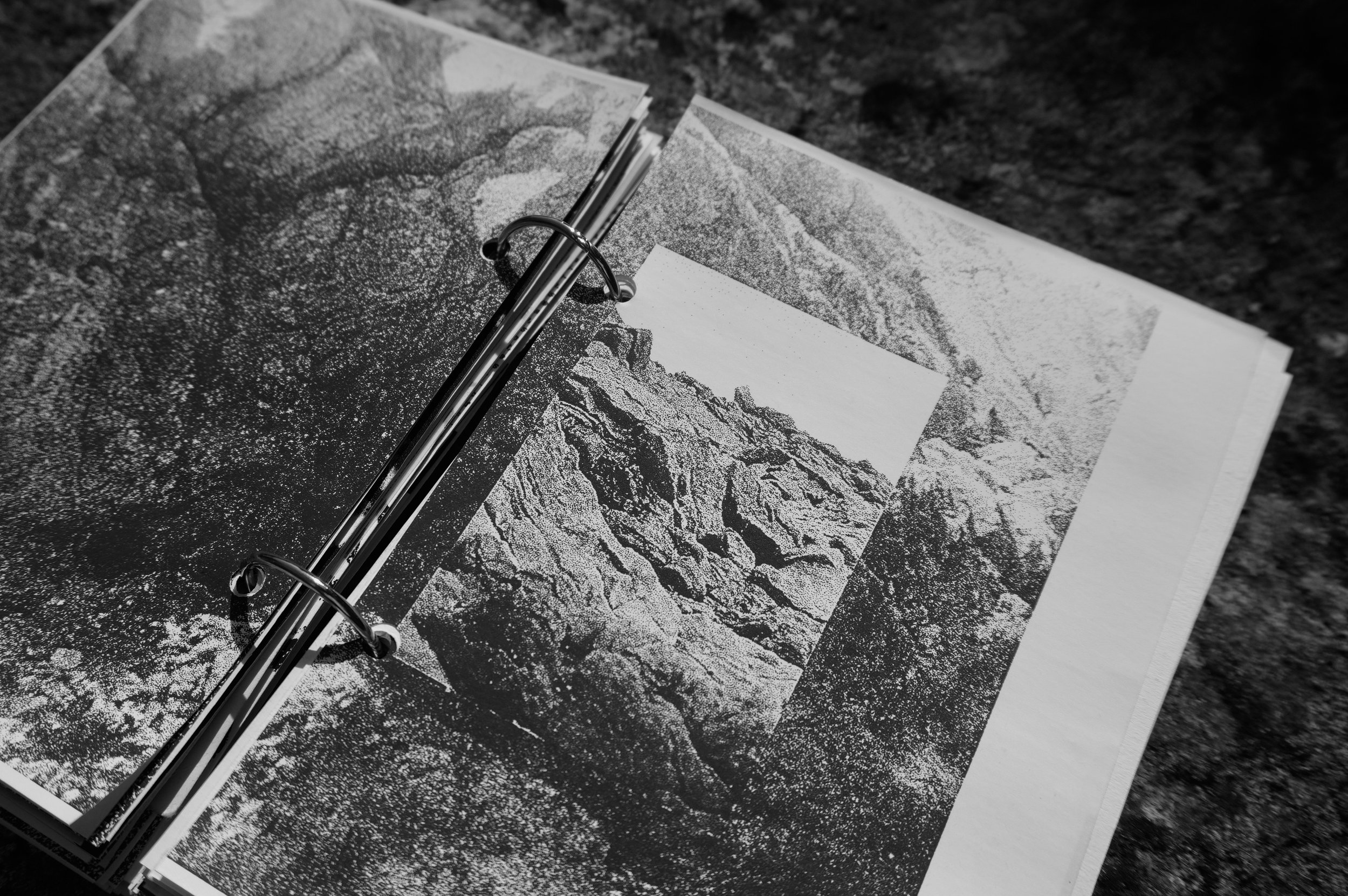 095C239D-0056-4EAB-BA56-29960FE74156_1_201_a.jpeg
