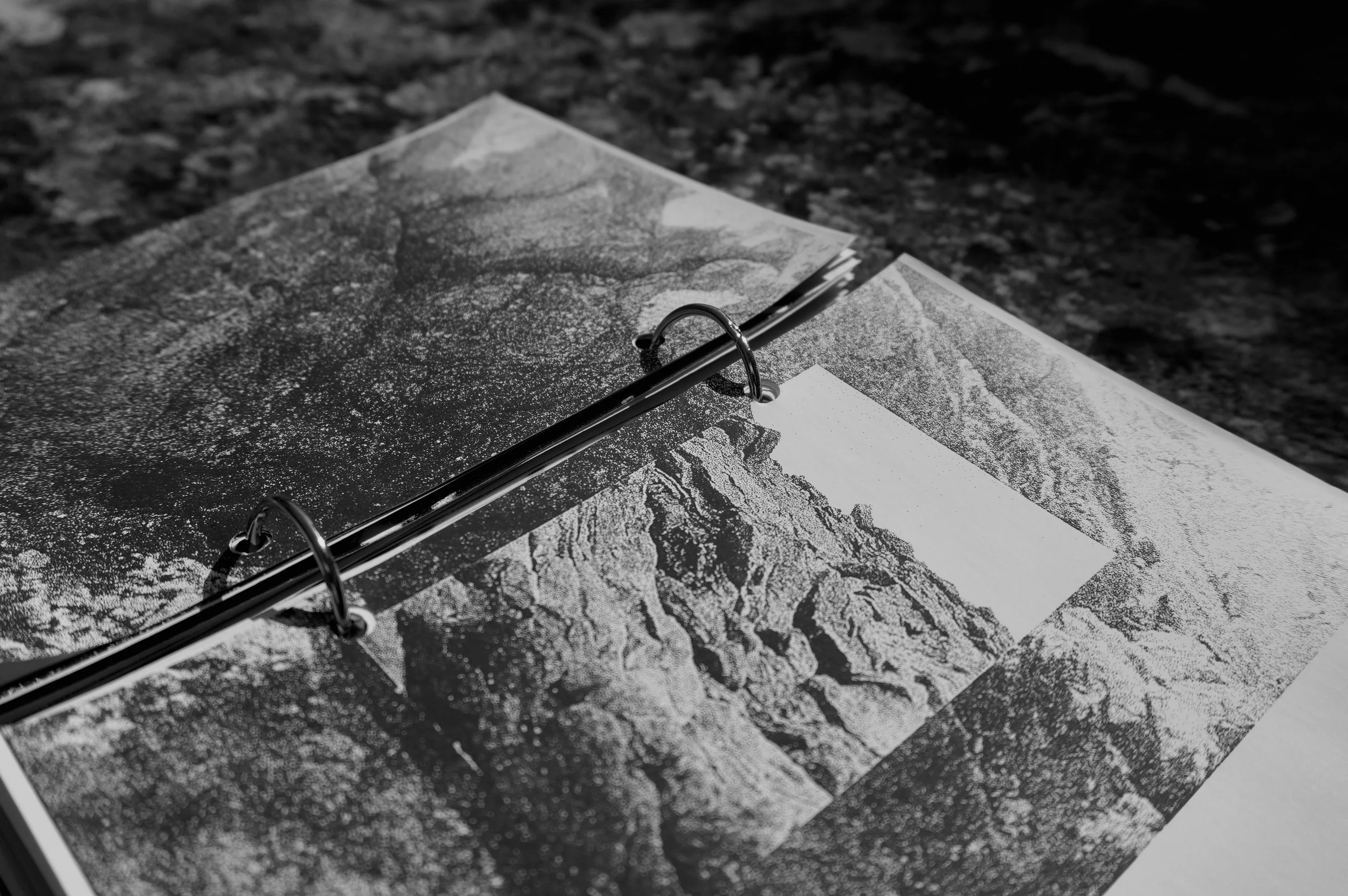 5D95729E-A856-4ADD-99C0-A64A099EE4D4_1_201_a.jpeg