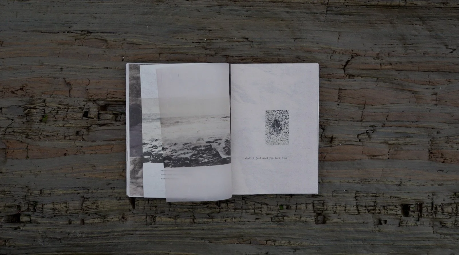 Screenshot 2026-03-27 at 07.05.19.jpeg