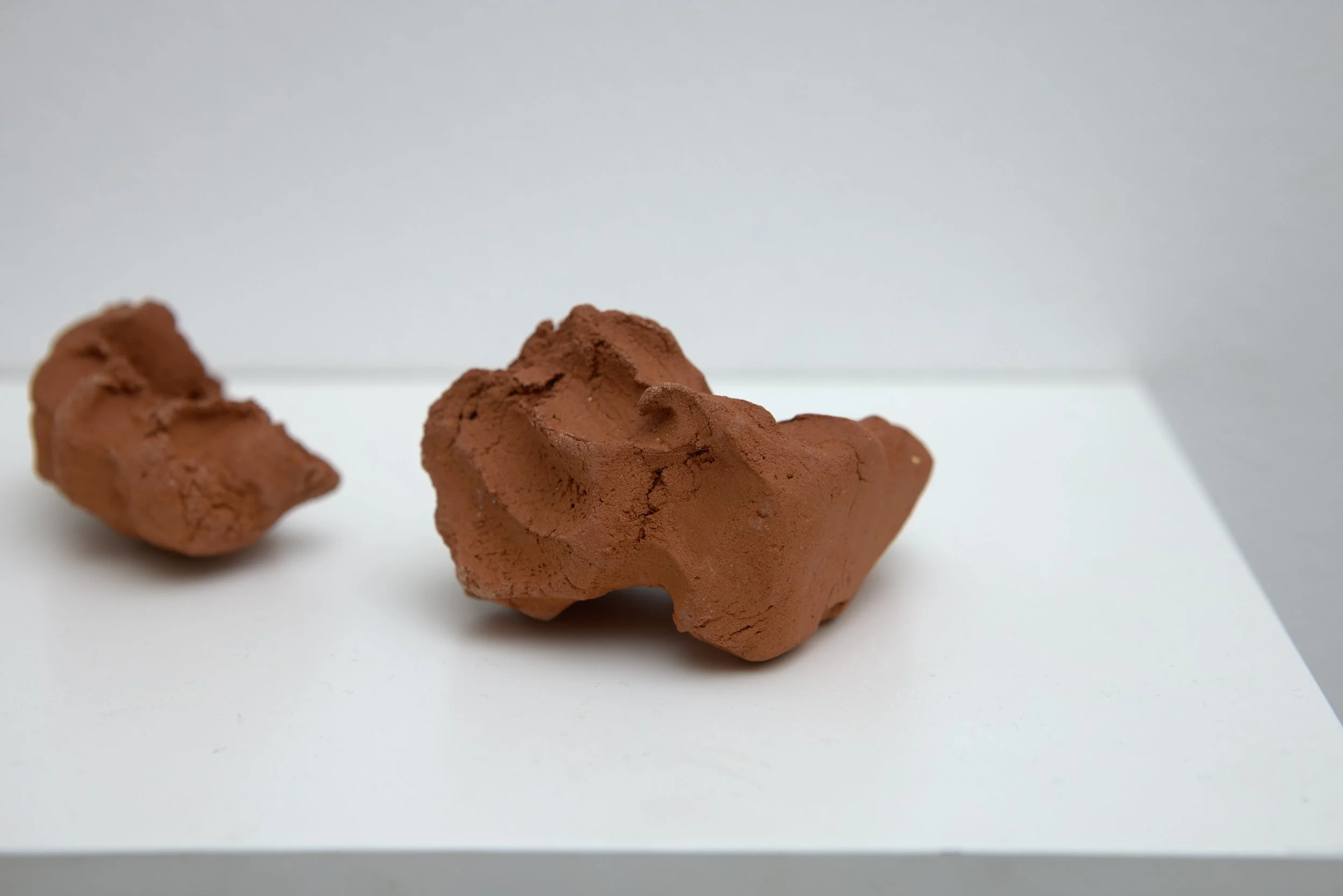 20250312-EnfoldUnfurl-StudioFellowsExhibition-Edie-005.jpg
