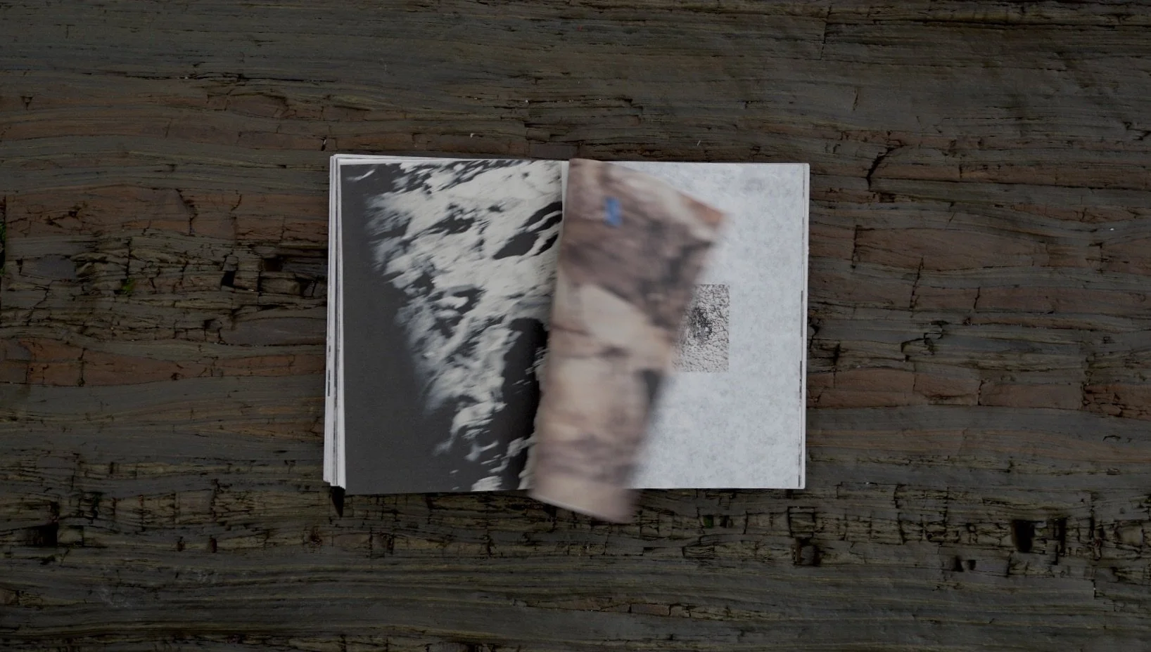 Screenshot 2026-03-27 at 07.11.18.jpeg