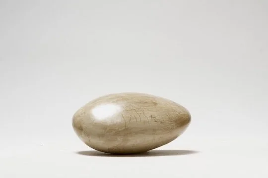 D58F359E-E840-4F9A-A499-9177E22E220C_4_5005_c.jpeg