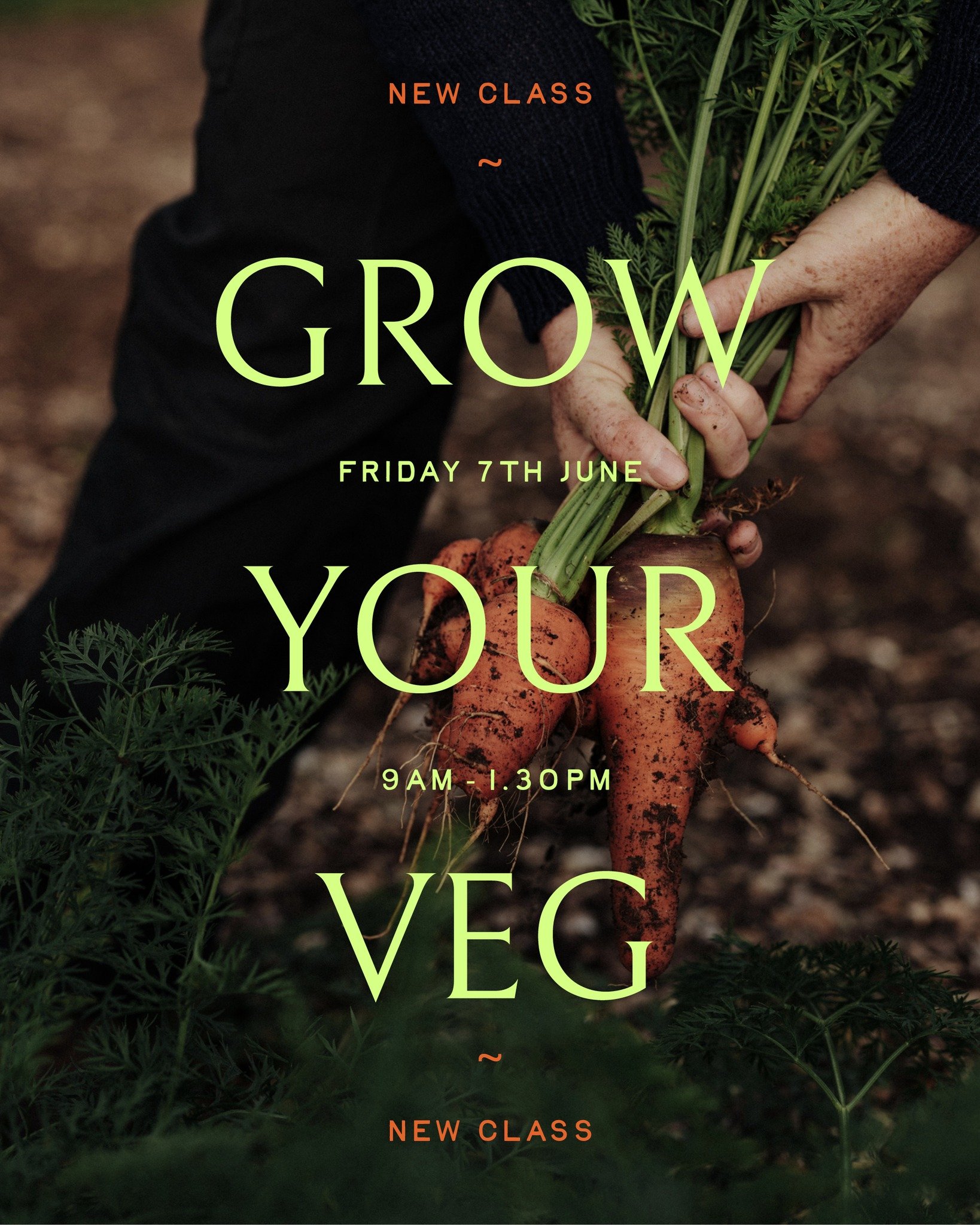 Veg Growing 101

A short half day course showing the basics and benefits of growing your own food in all sorts of spaces. Expect to learn where and how to buy and sow seed, compost, build no dig veg beds, and all sorts of growing tricks to save on sp