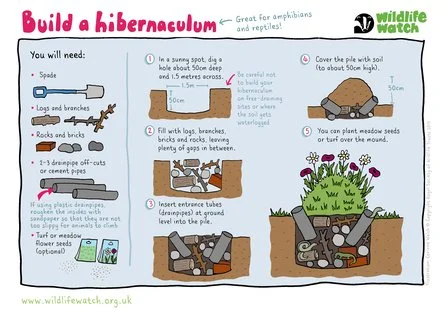 HIBERNACULUM-RGB-2021.jpg