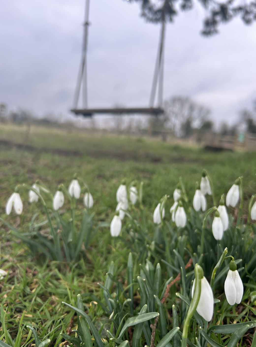 Screenshot 2026-01-15 at 15.29.19.png