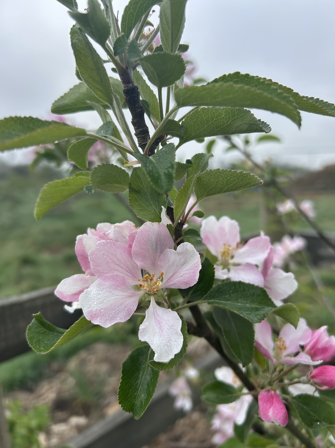 Screenshot 2026-01-15 at 15.29.34.png