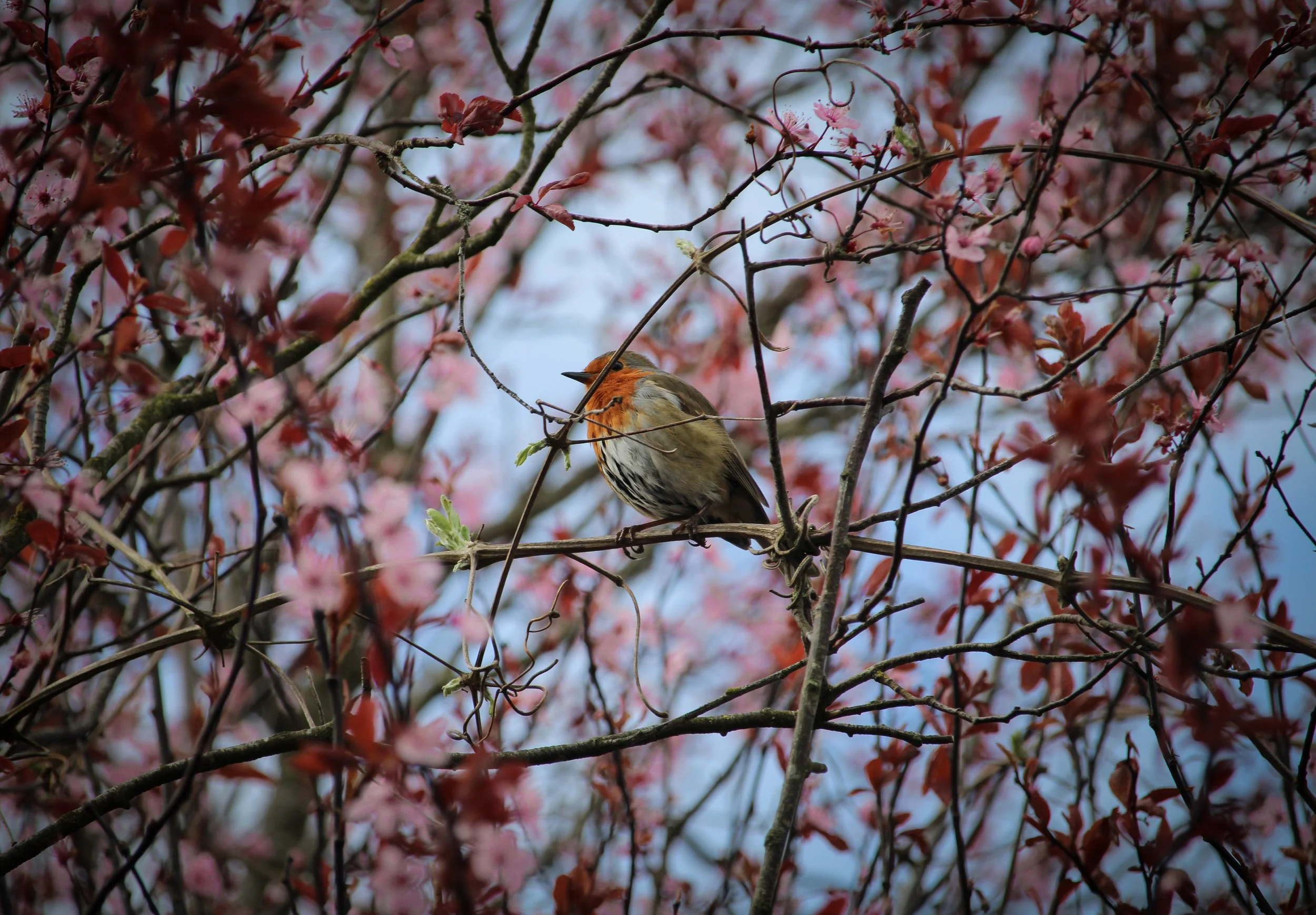 20240317122636_IMG_6339 (2).jpg