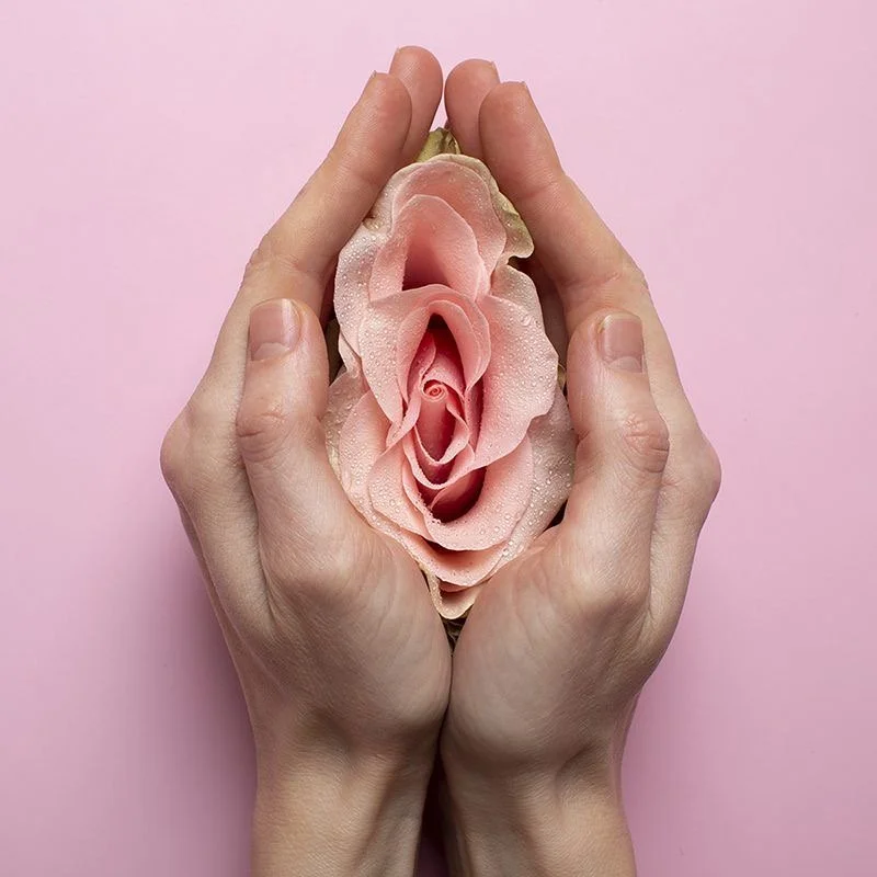 The Pussy Project 1.jpg