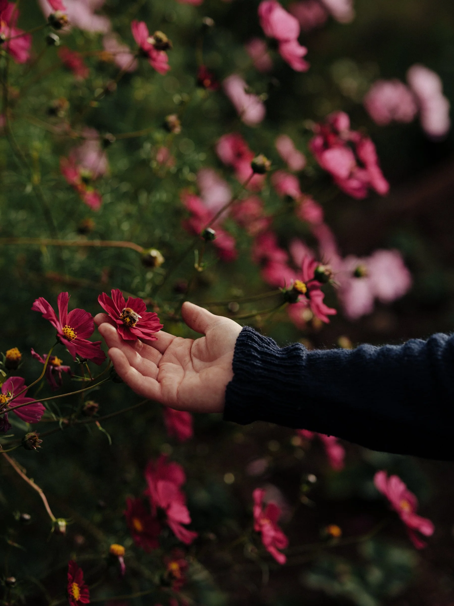 The Gut Garden Day Retreat