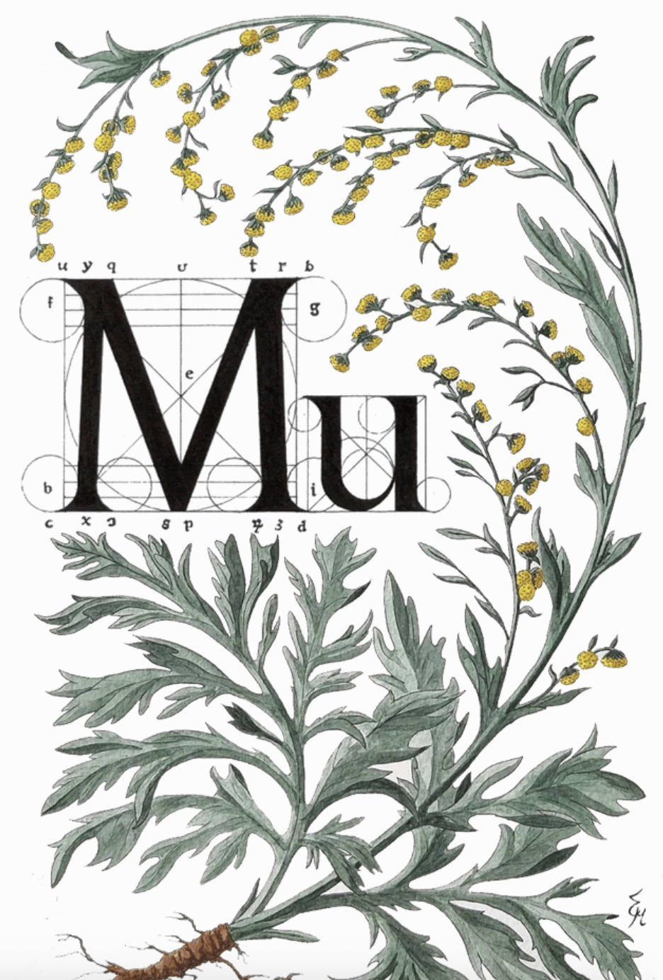 Снимок экрана 2026-02-11 в 14.49.47.png