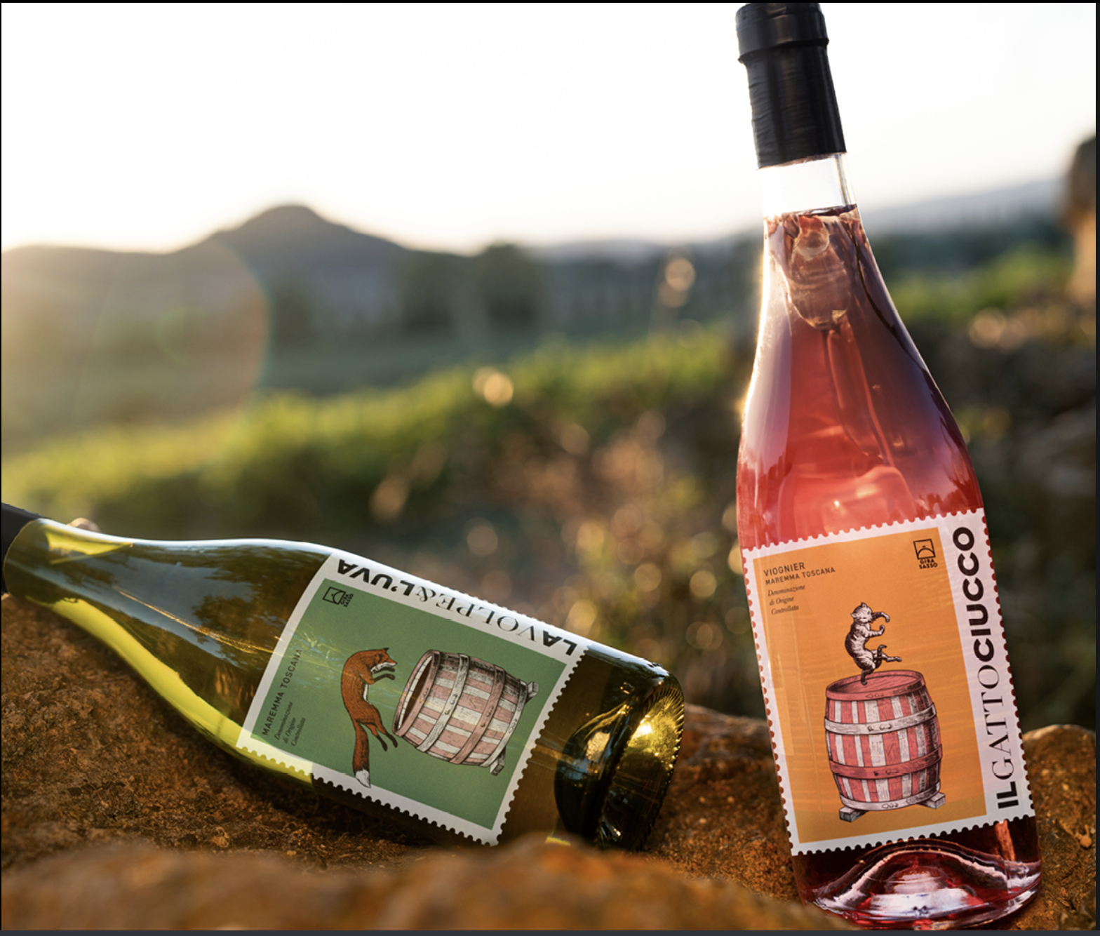 Girasasso Wine, Maremma