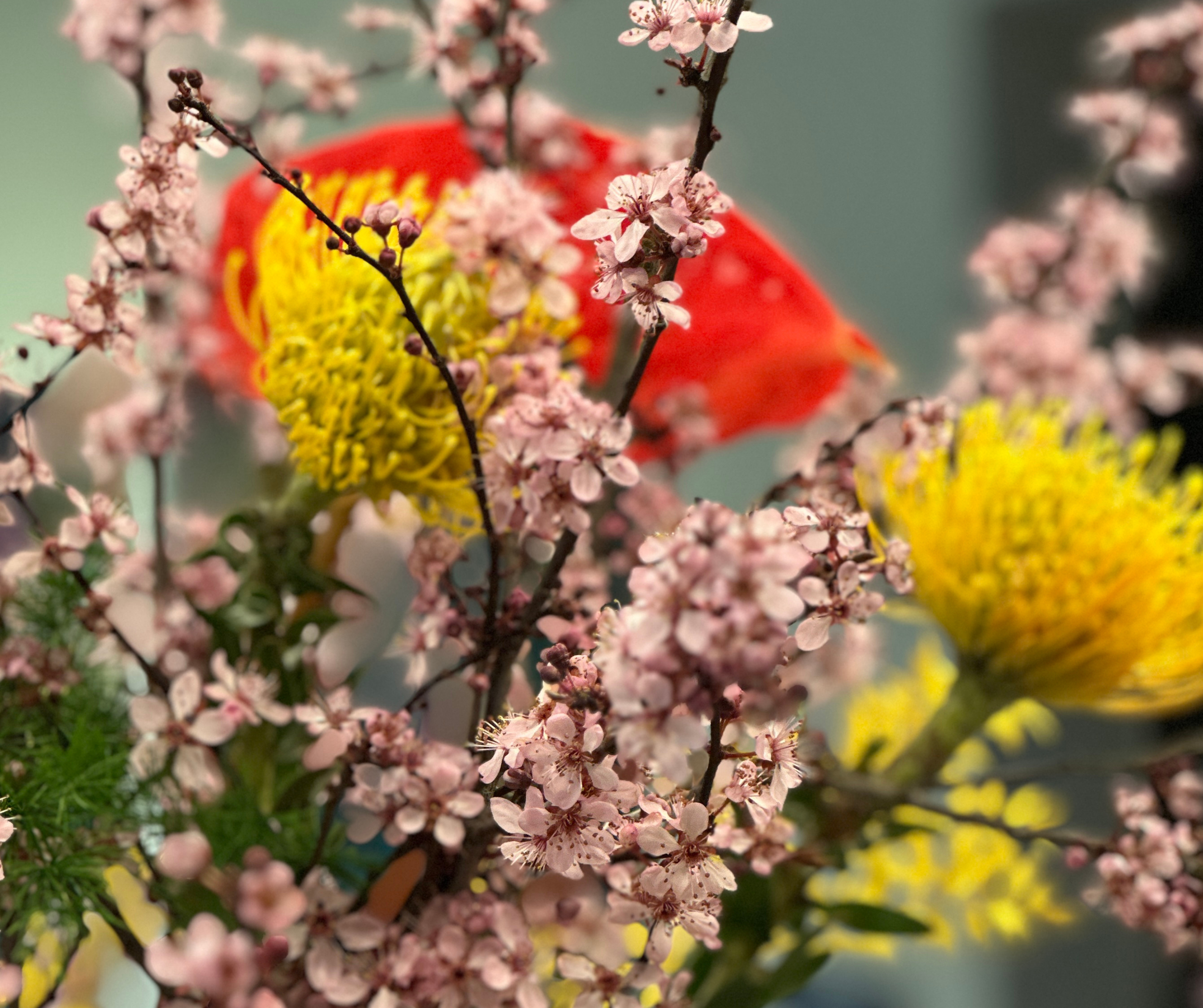 Bunte Frühlingsblumen mit pinken Blüten, gelben Blüten und einem roten Schmetterling.