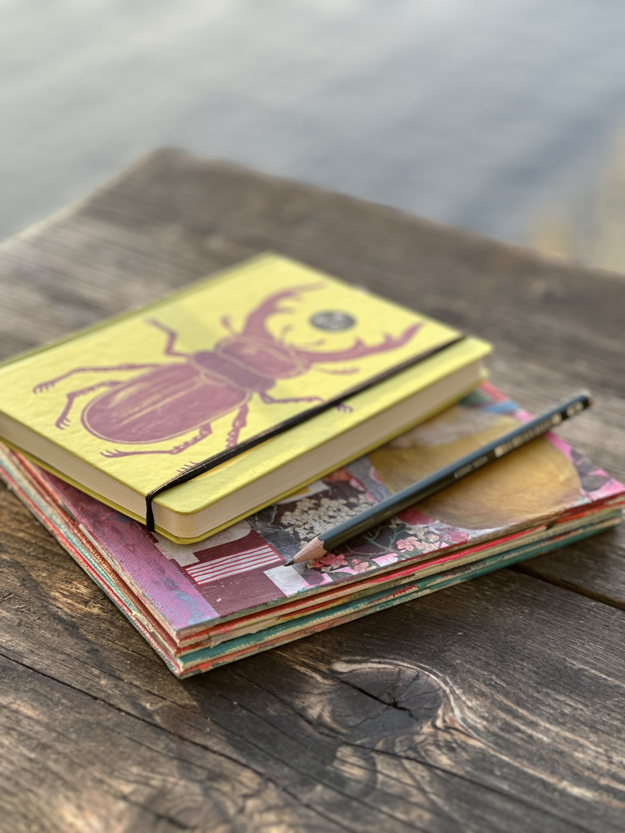 Zwei Notizbücher und ein Bleistift auf einem Holztisch, mit Wasser im Hintergrund.