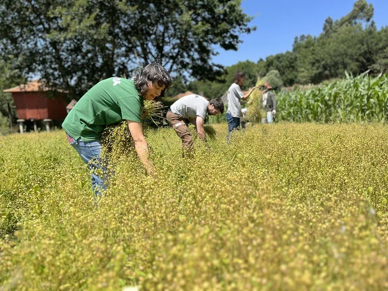Capacitação Serviço Educativo do Parque Biológico de Gaia