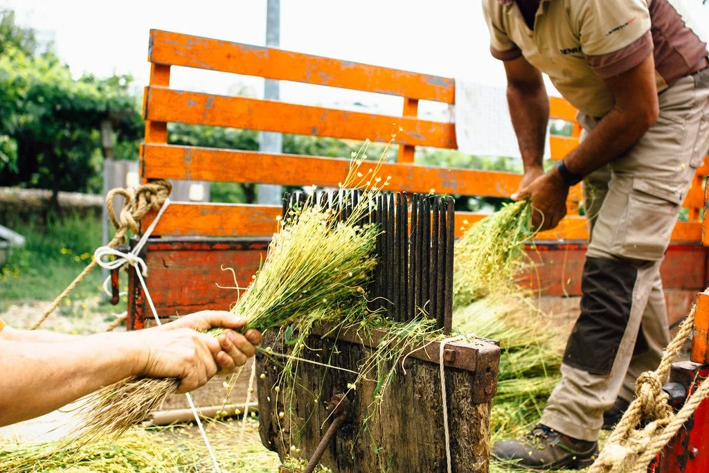 Saber Fazer em Serralves