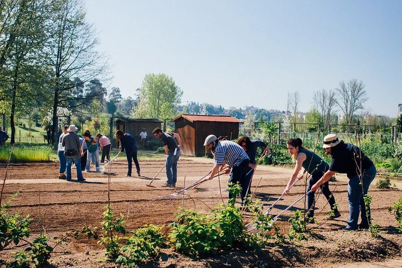 Saber Fazer em Famalicão