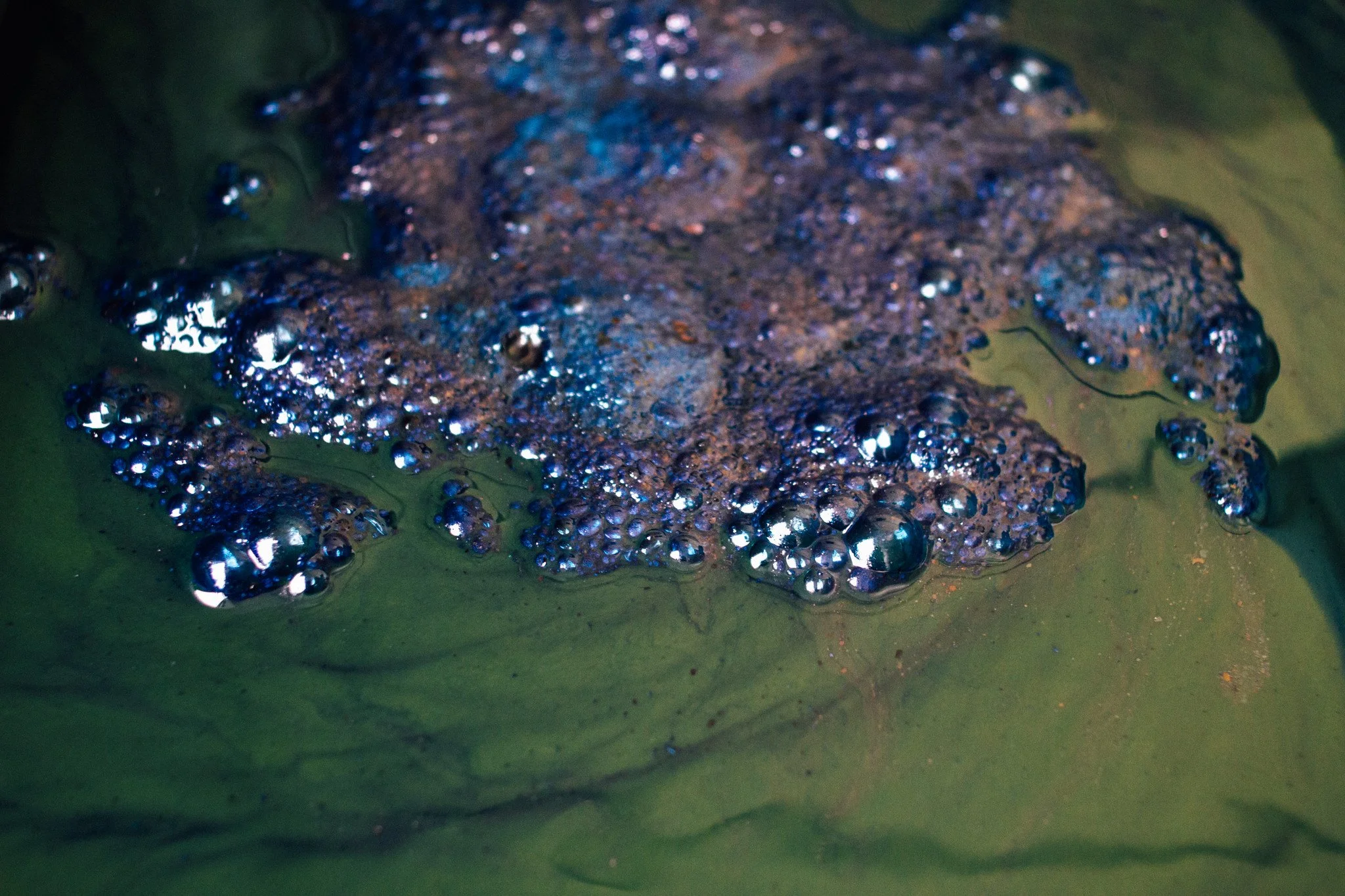 indigo-01.jpg