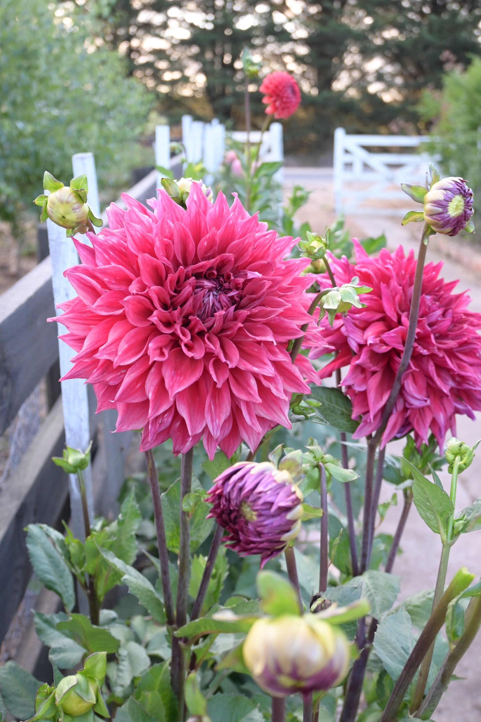 10033259-D65B-4E5A-BB82-20128C961CC3.jpeg