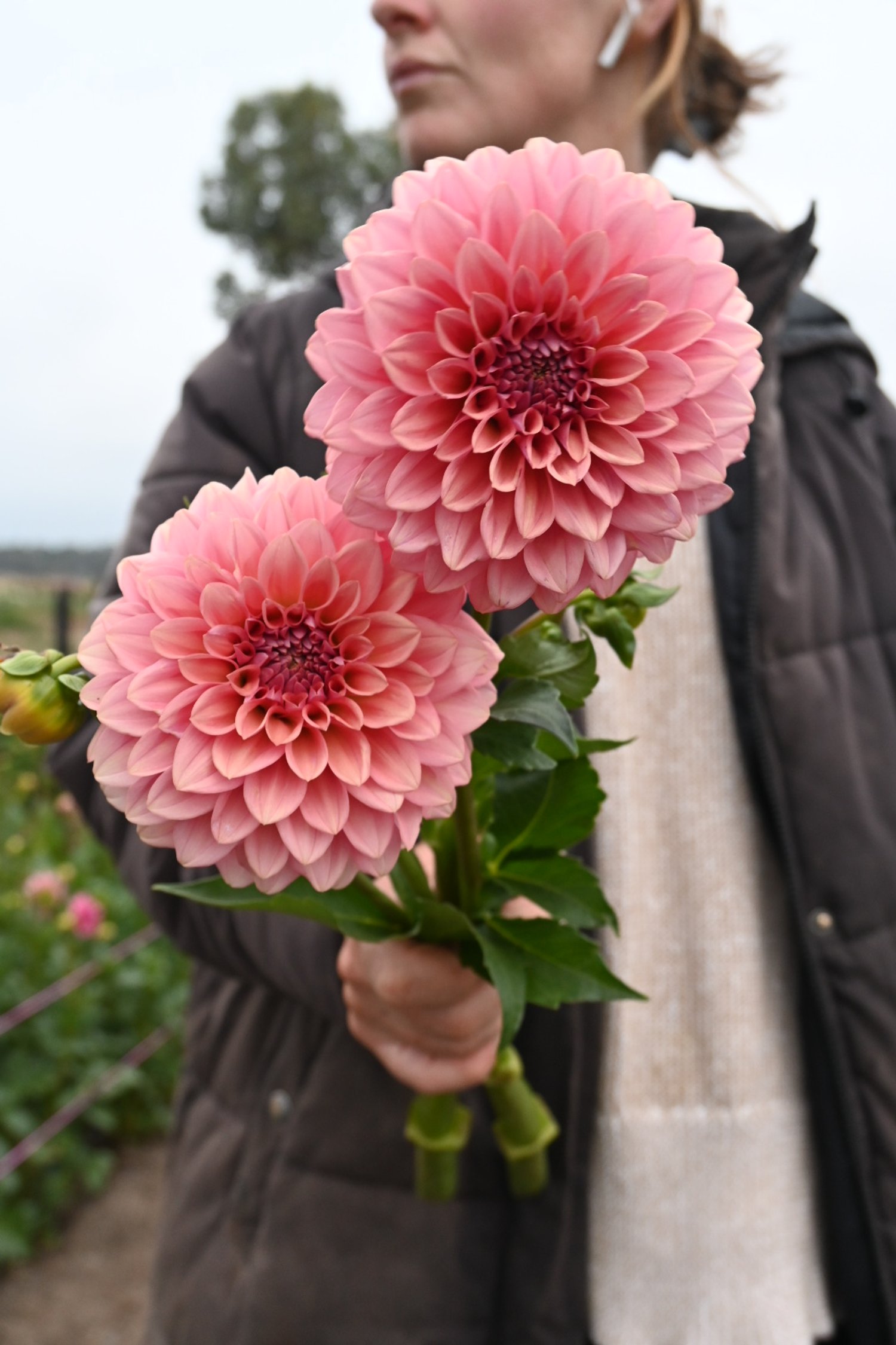 20C904E3-178F-4024-9483-71B1091696EB.jpeg