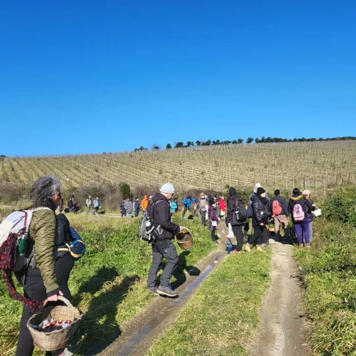 WhatsApp Image 2026-03-17 at 16.52.57.jpeg