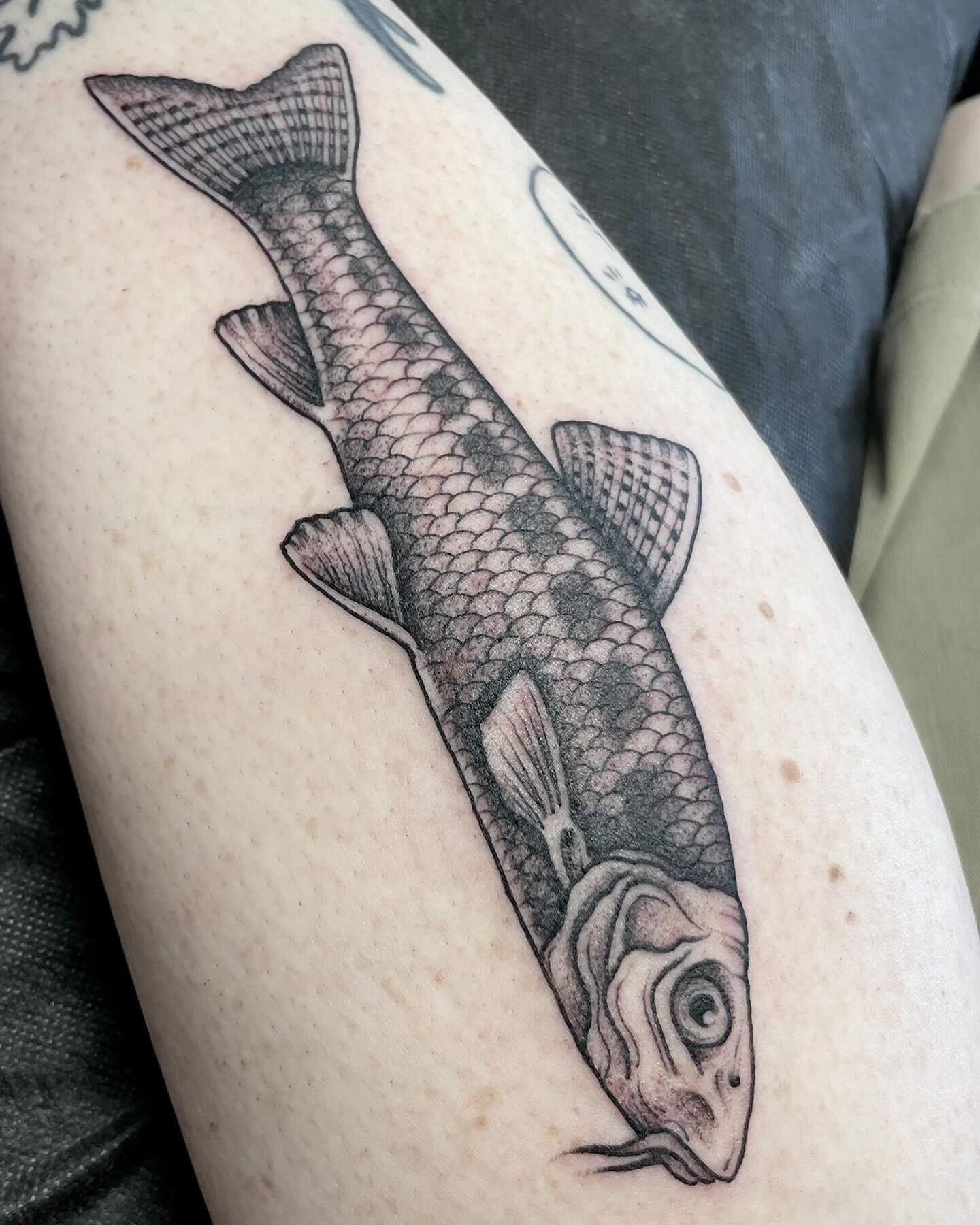 Glorious fishy boi from @brookstattooer 🐟🐠🐡

#fishtattoo #finelinetattoo #animaltattoo #bristolblackandgrey