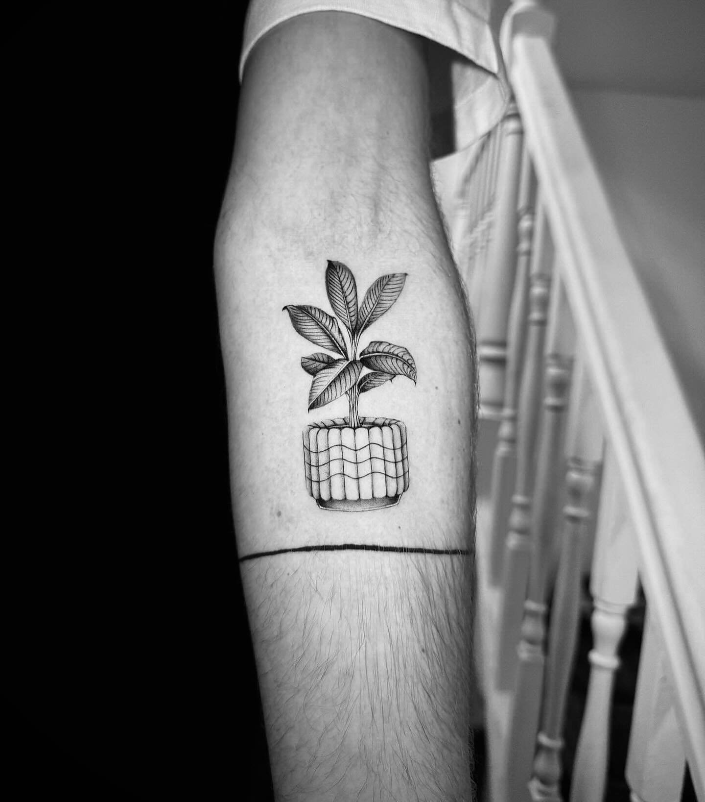 House plant realness by @georgina.tattoos 🪴

#microrealism #realismtattoo #houseplanttattoo #planttattoos