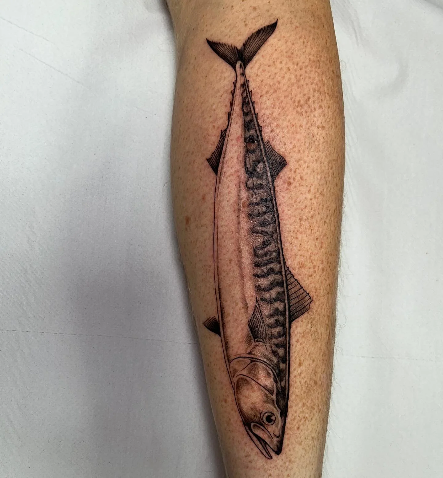 Calf mackerel by @stewpatontattoo 🎣 

#mackereltattoo #bristolfinelinetattoo #illustrativetattoo #fishtattoo
