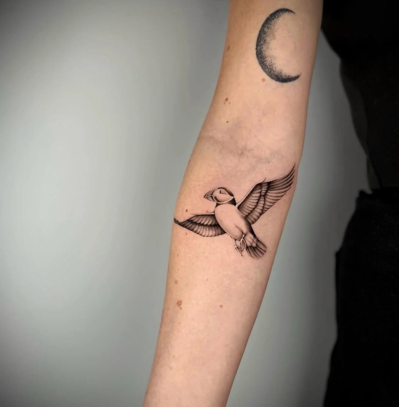 Perfect puffin tattoo by our @georgina.tattoos 🖤

#puffintattoo #finelinetattoo #microrealismtattoo #minitattoos #blackandgreytattoo