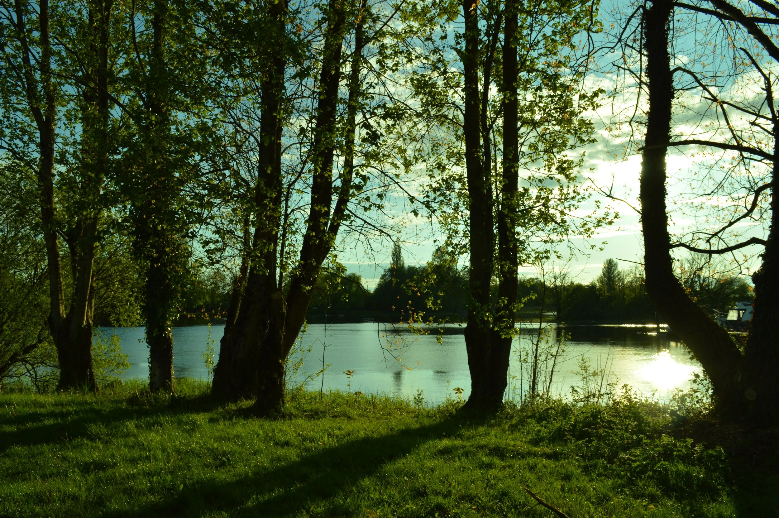 Soft riverbank, Jim's field