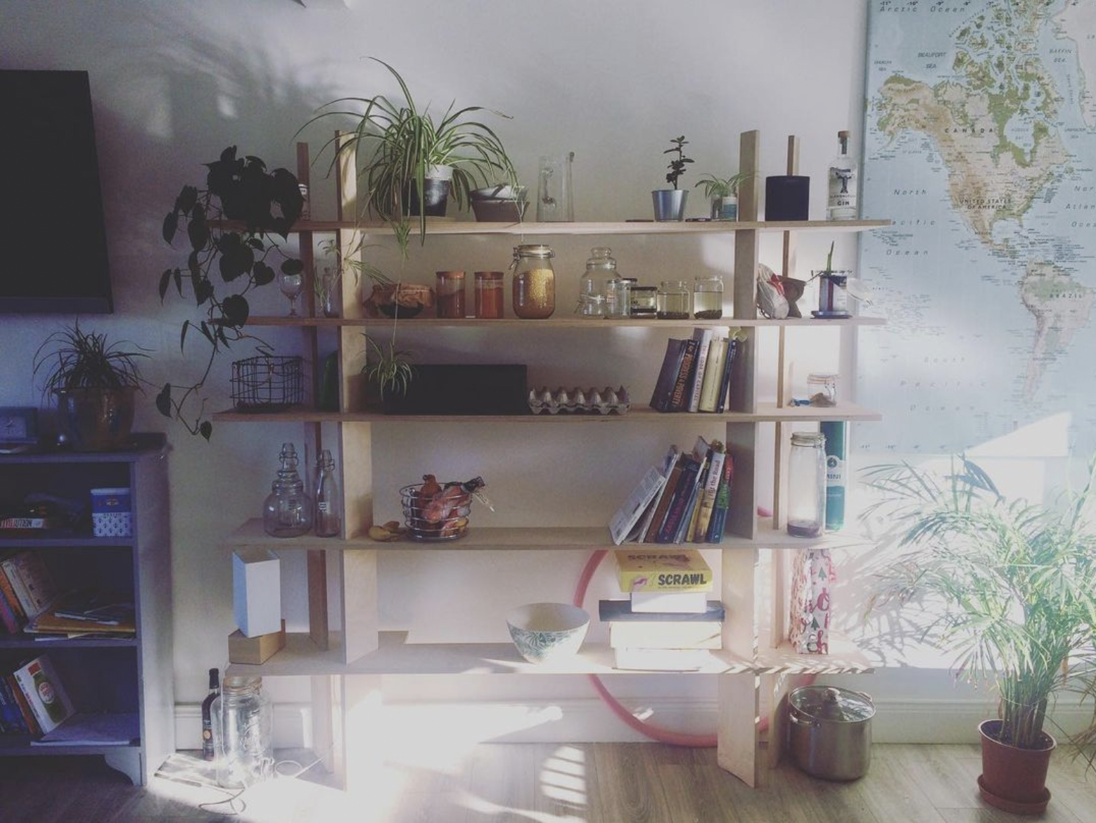 Forest Shelf