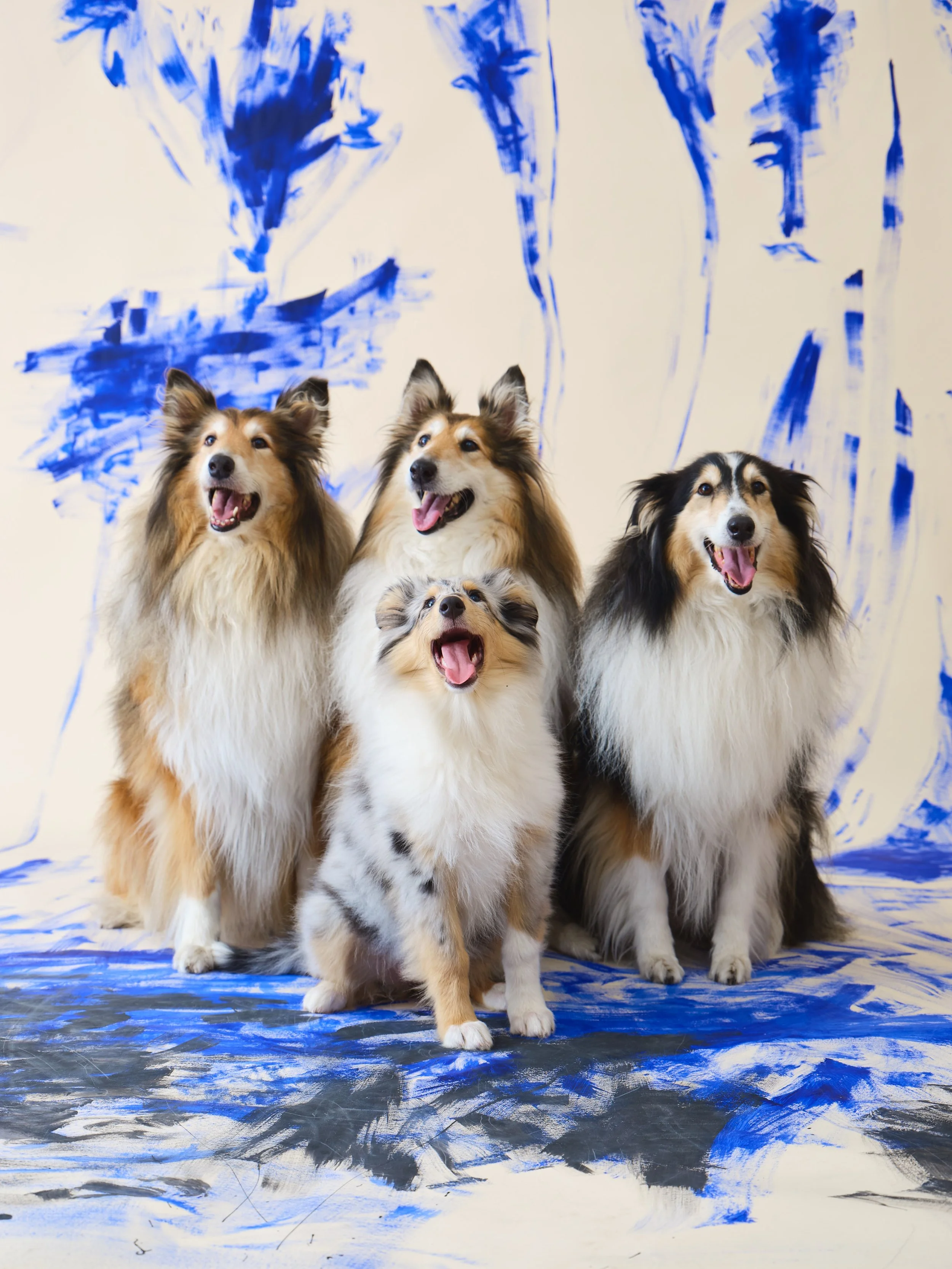 Ritratti di famiglia