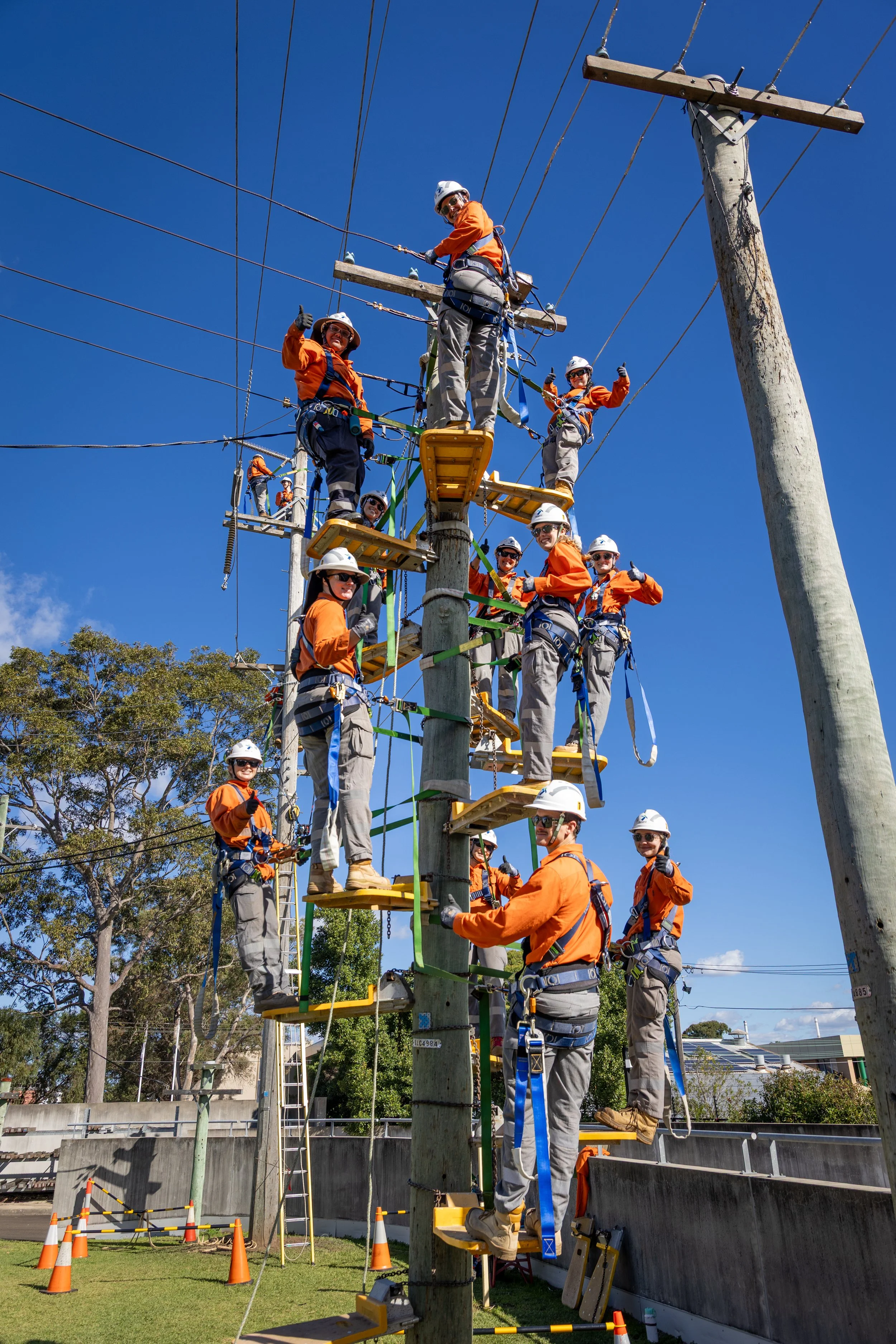 Ausgrid Workplace Photo