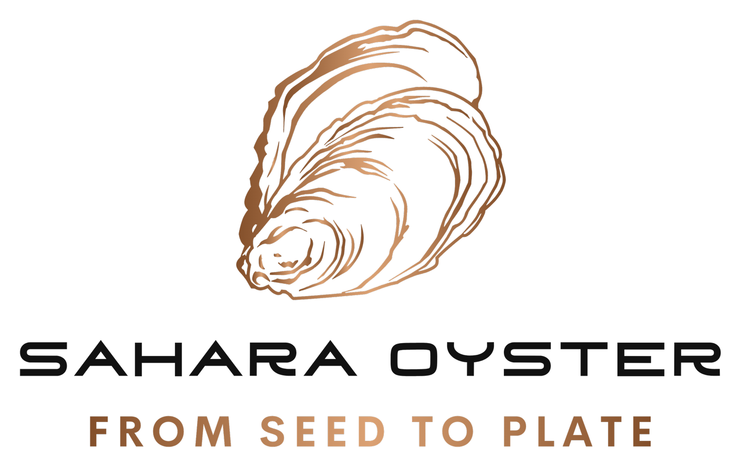 Sahara Oyster