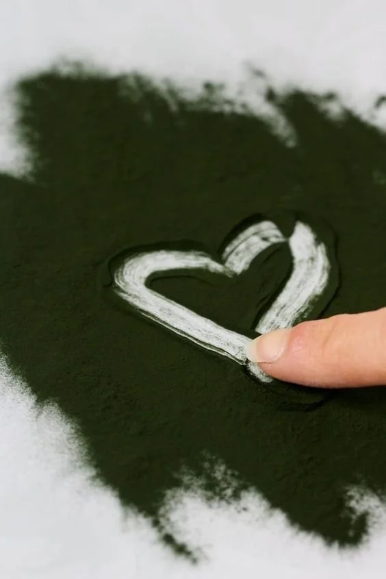 CHLORELLA 1.jpg