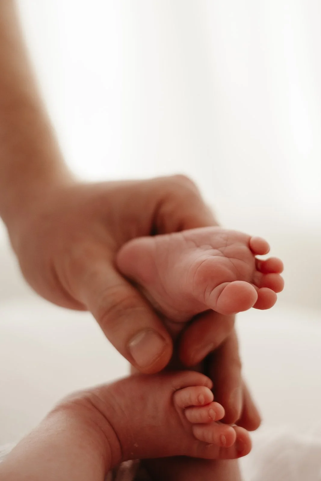 nyfødtfotografering