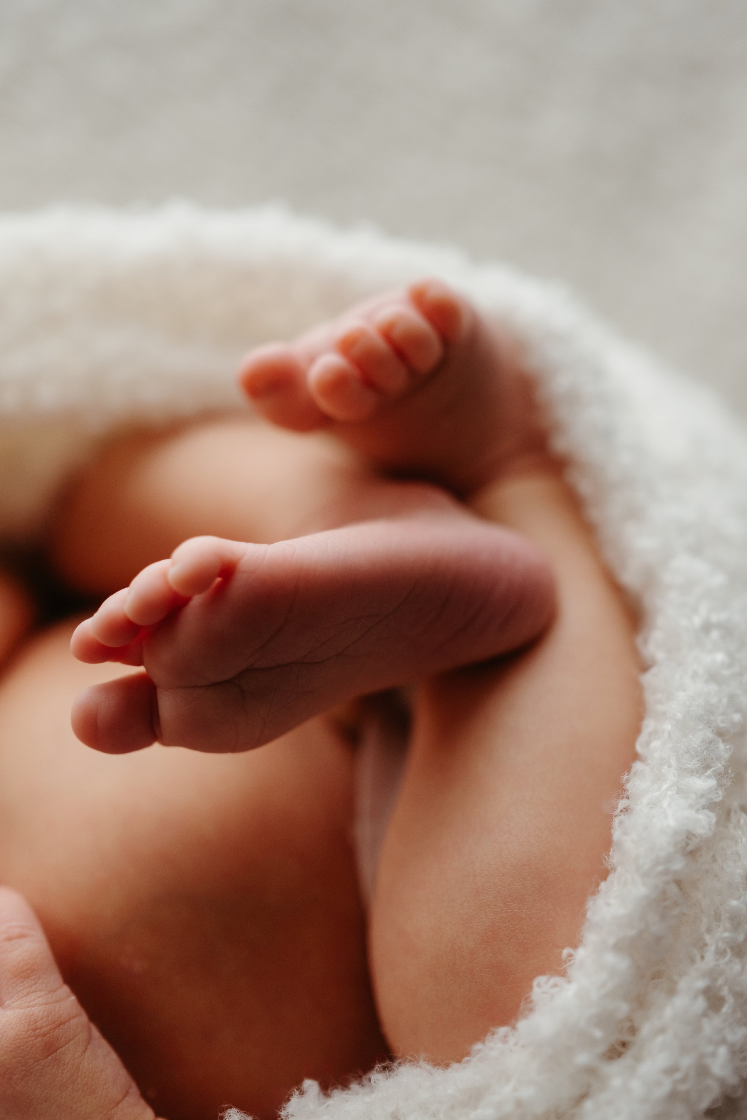 Et bittesmå barnehånd og fot av en nyfødt baby, pakket inn i en hvit, fluffy bandasje.