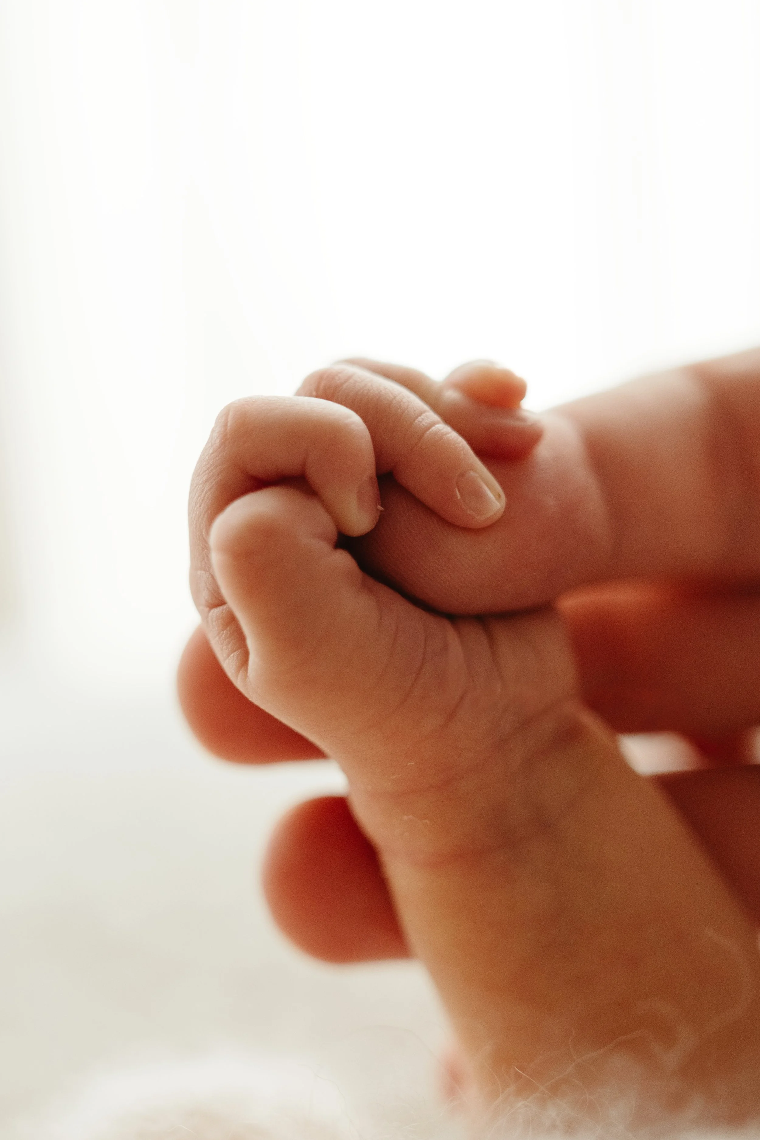 Et voksent henders finger som holder en liten babys finger.