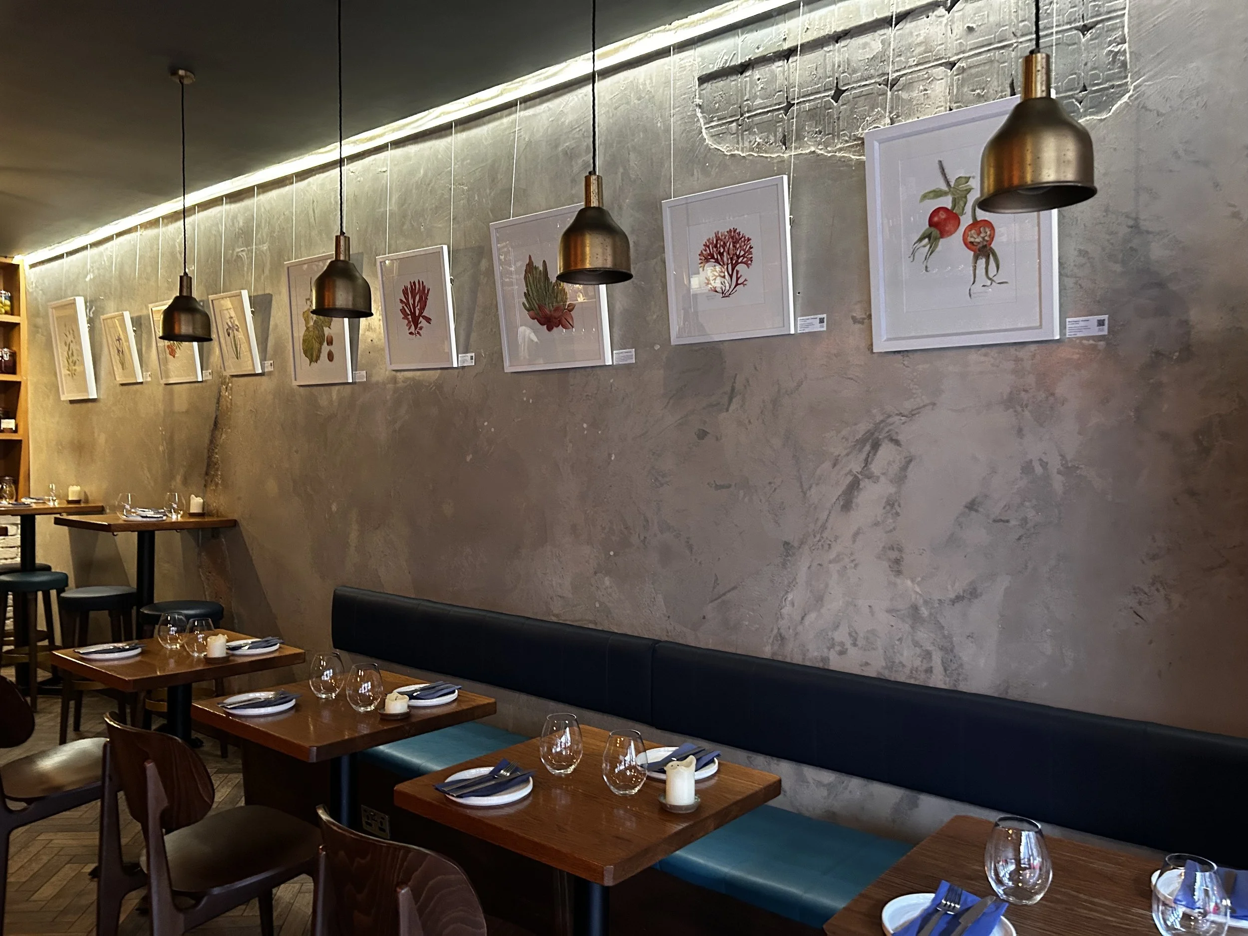 Daróg_Artist_Jane Stark_02.jpeg