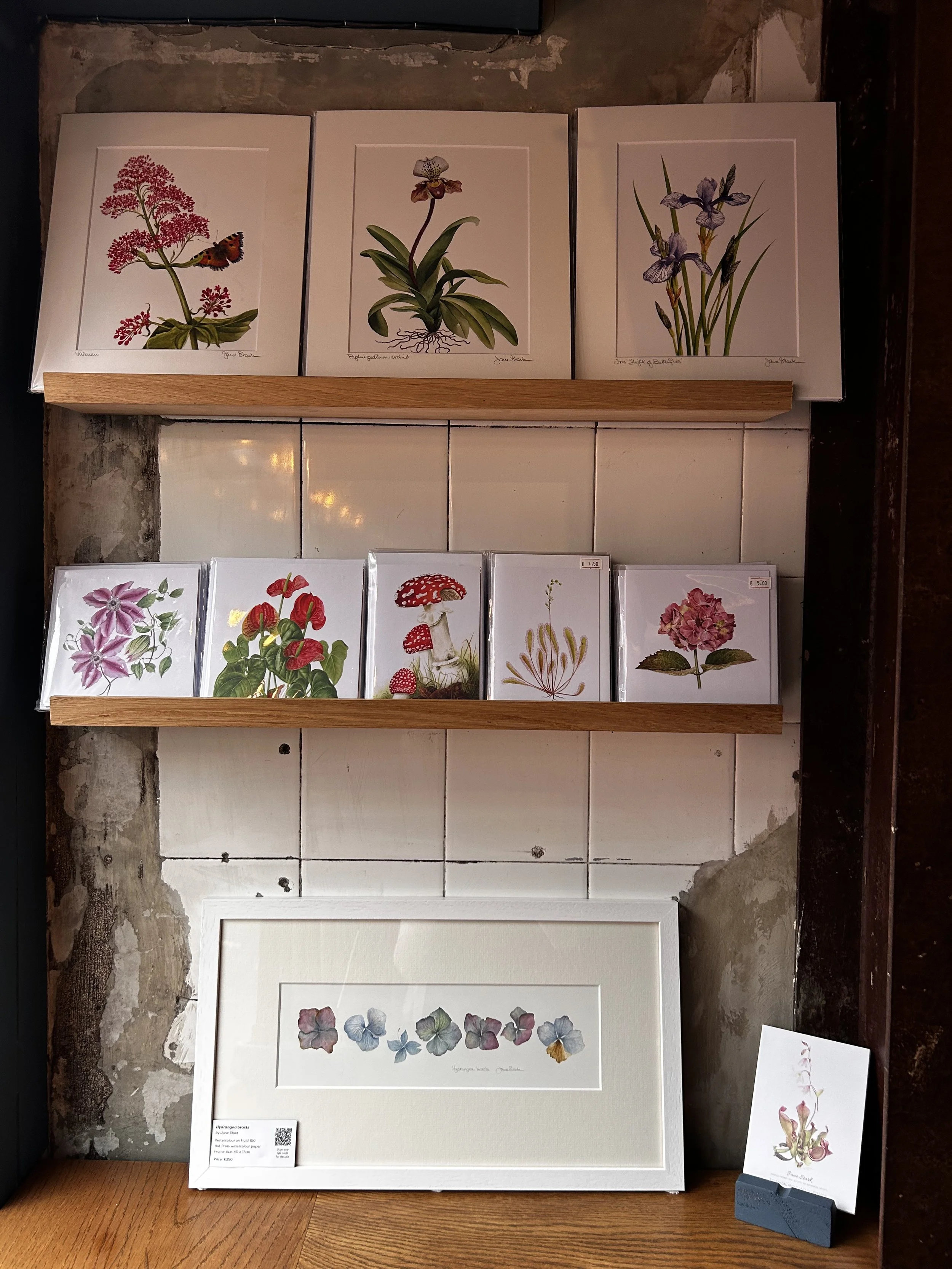 Daróg_Artist_Jane Stark_07.jpeg