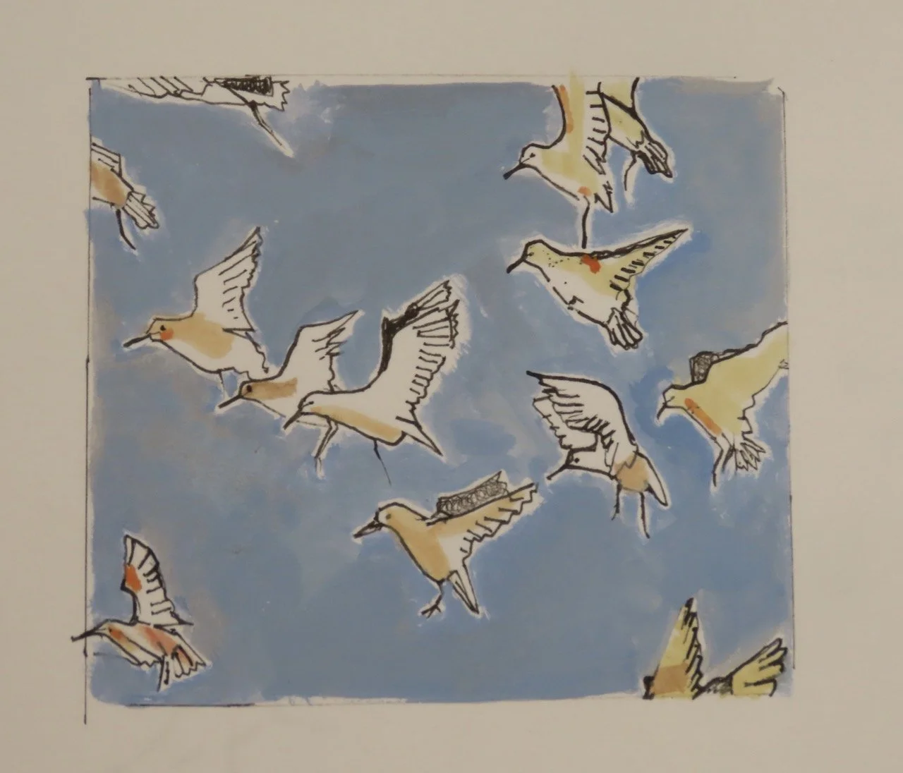 Daróg_Sacha Hutchinson_01 Large.jpeg