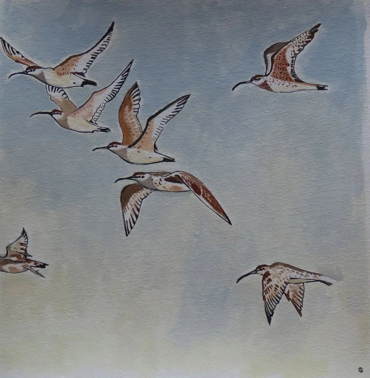 Daróg_Sacha Hutchinson_02 Large.jpeg